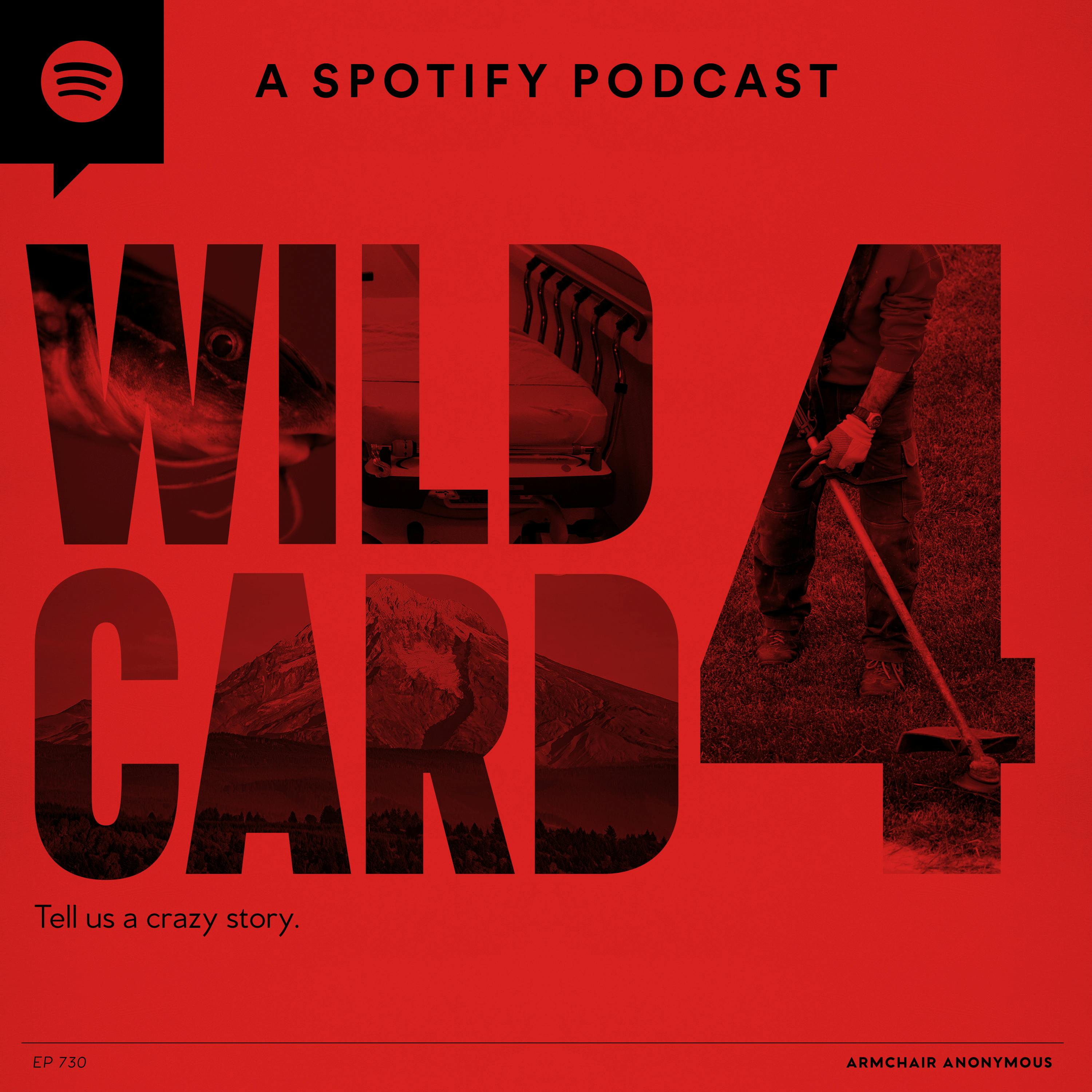 Armchair Anonymous: Wild Card IV