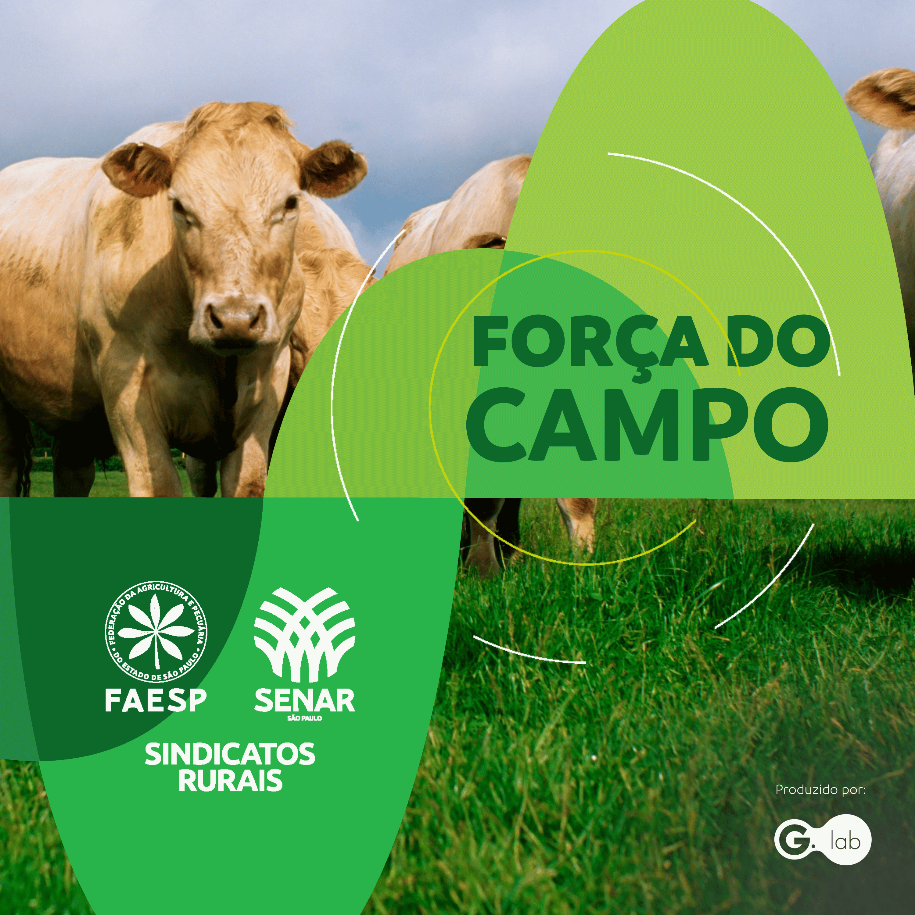 Plano Nacional de Identificação de Bovinos e Búfalos episode artwork