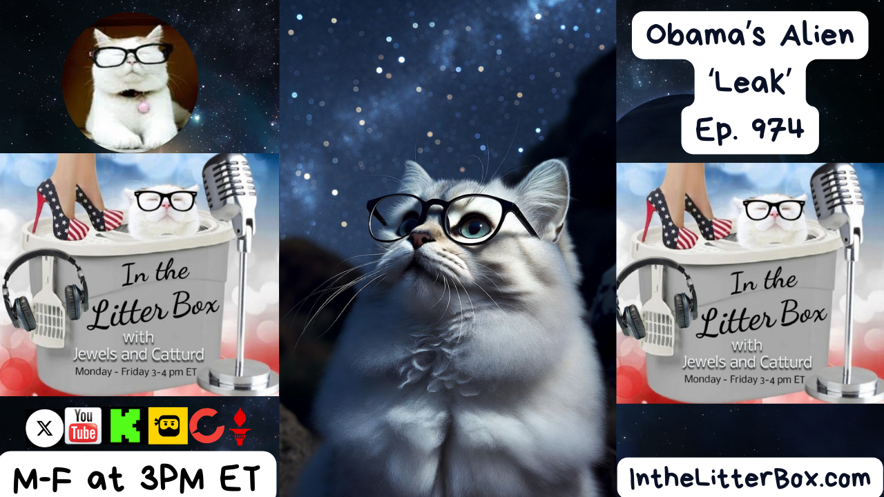 Obama's Alien 'Leak' | In the Litter Box w/ Jewels Jones & Catturd – Ep. 974 – 2/20/2026