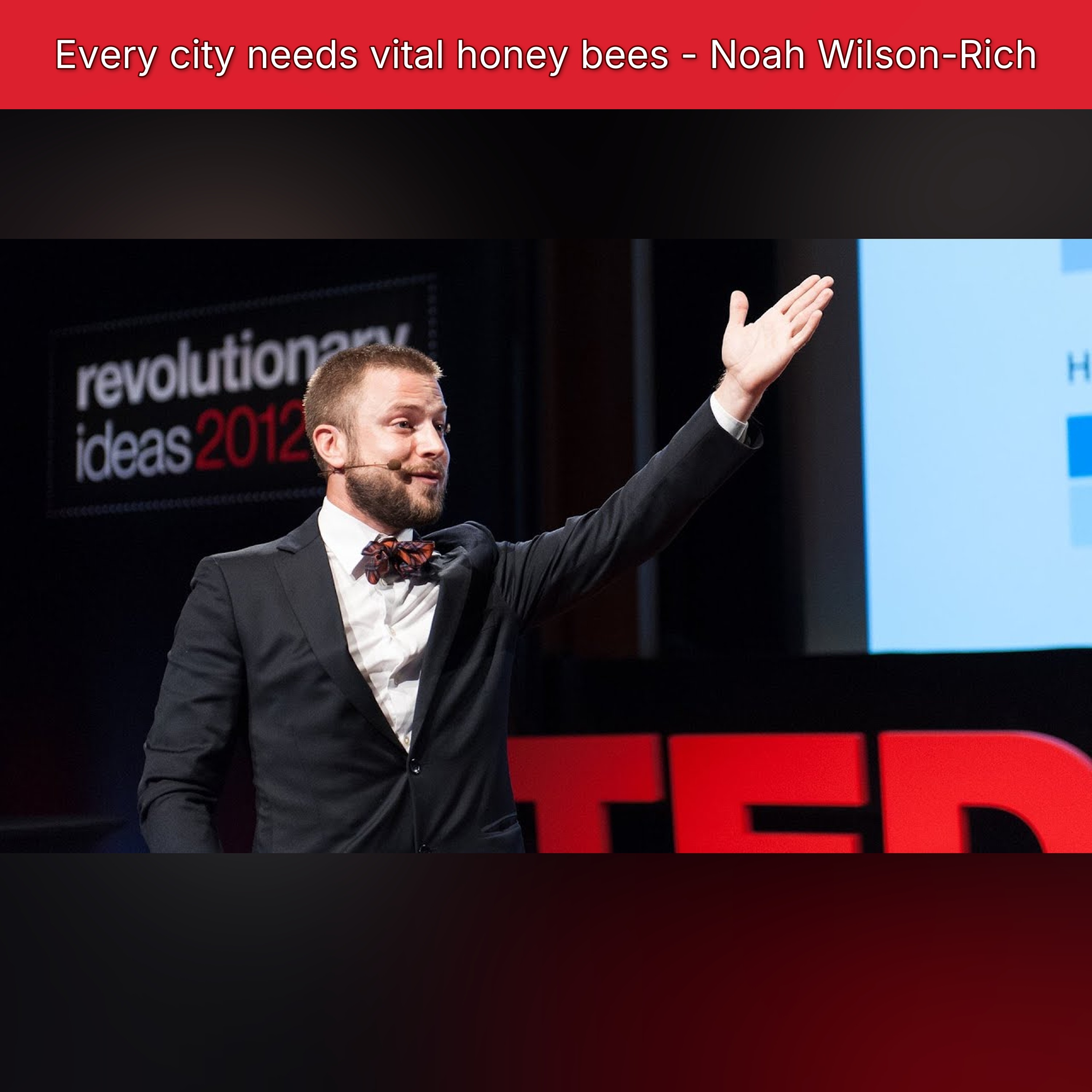 Every city needs vital honey bees - Noah Wilson-Rich