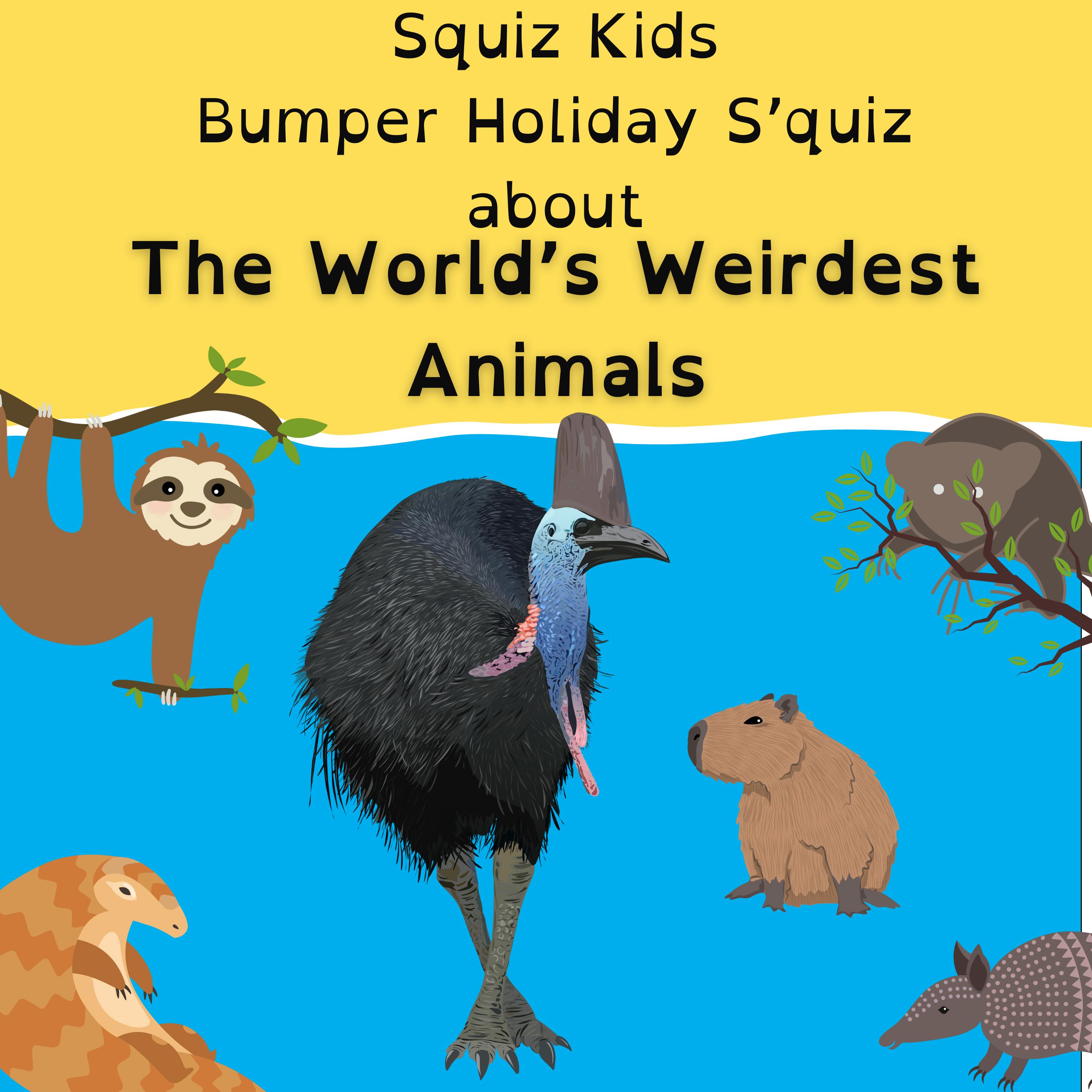 Bumper Holiday S’Quiz - The World’s Weirdest Animals