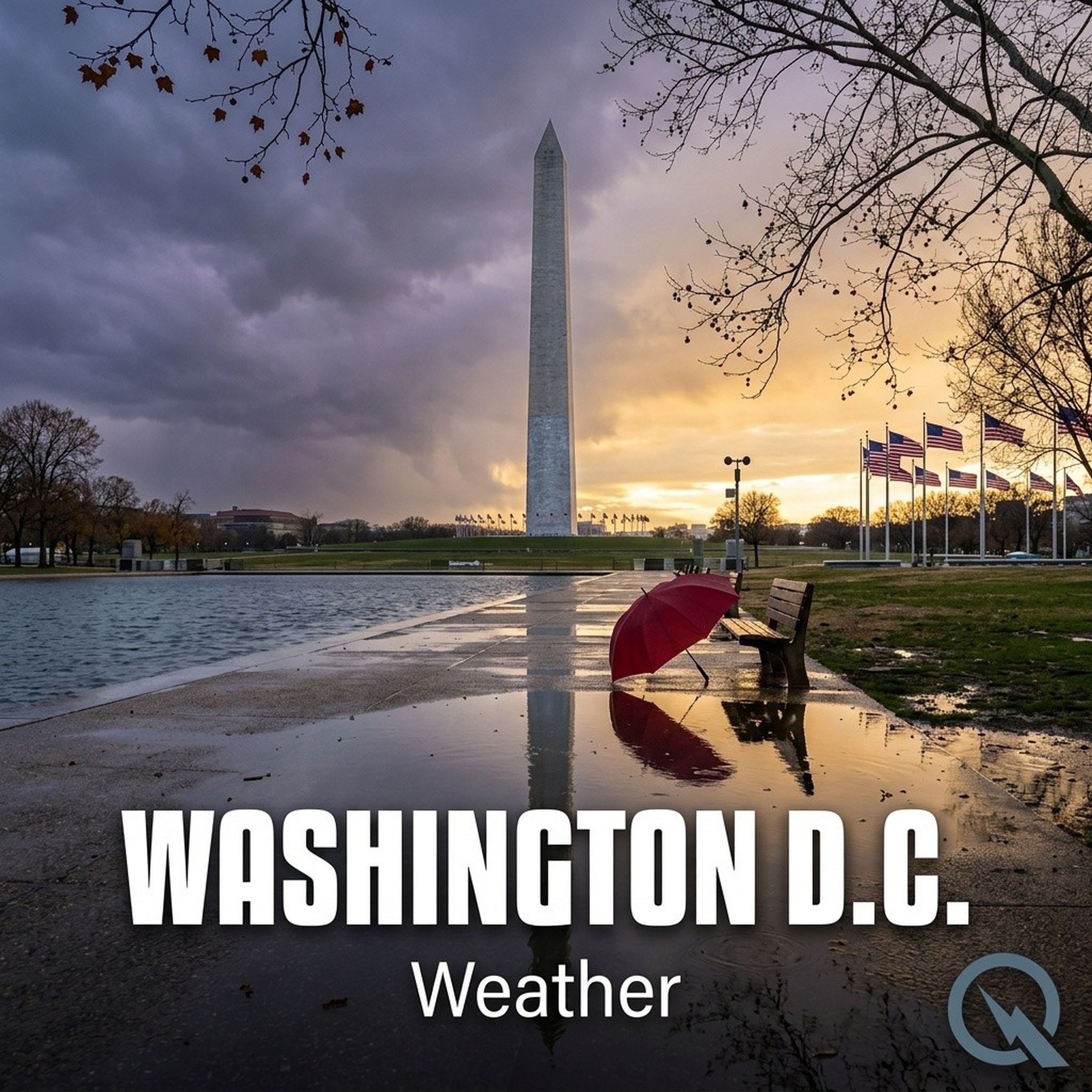 Weather In Washington D.C. podcast artwork