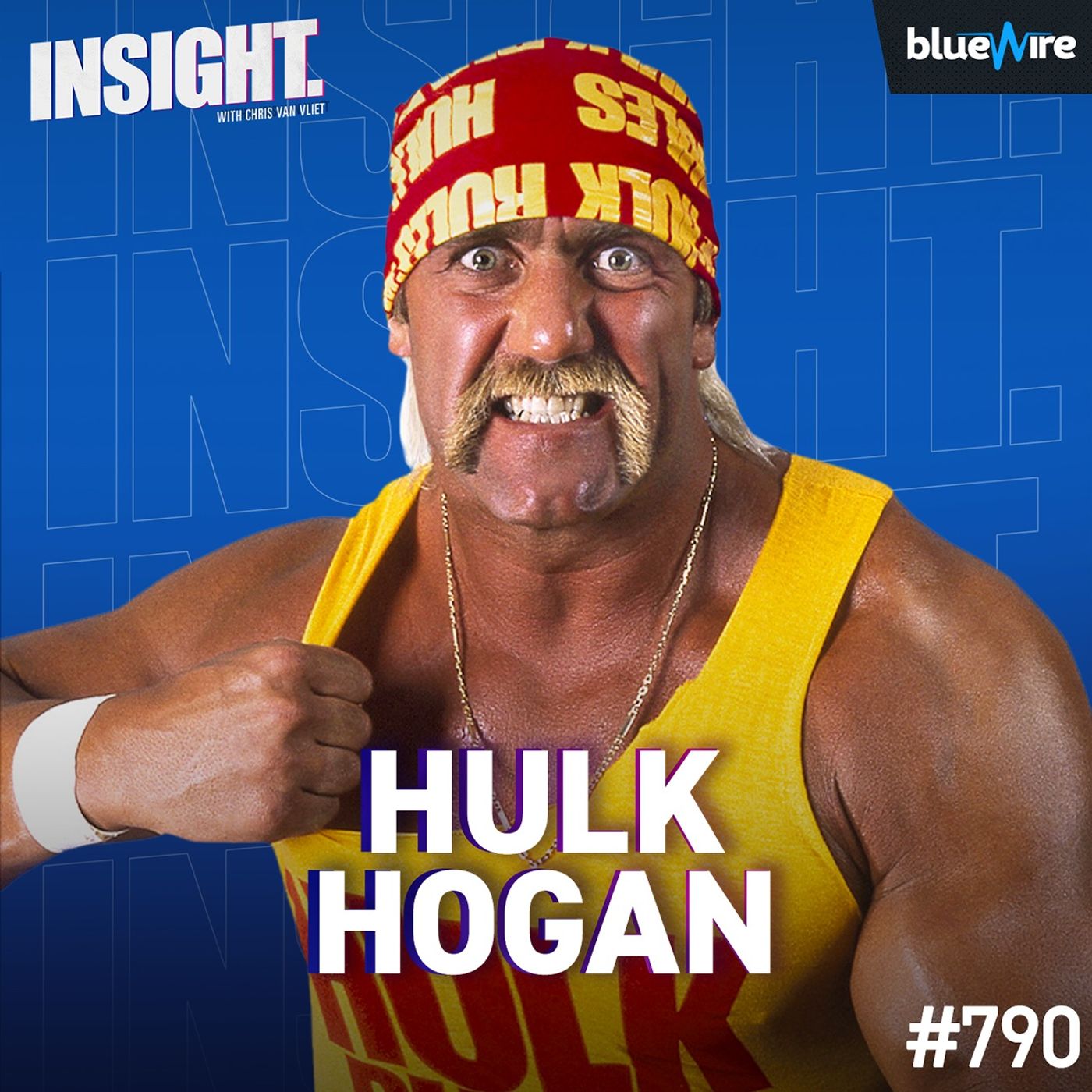 Insight with Chris Van Vliet