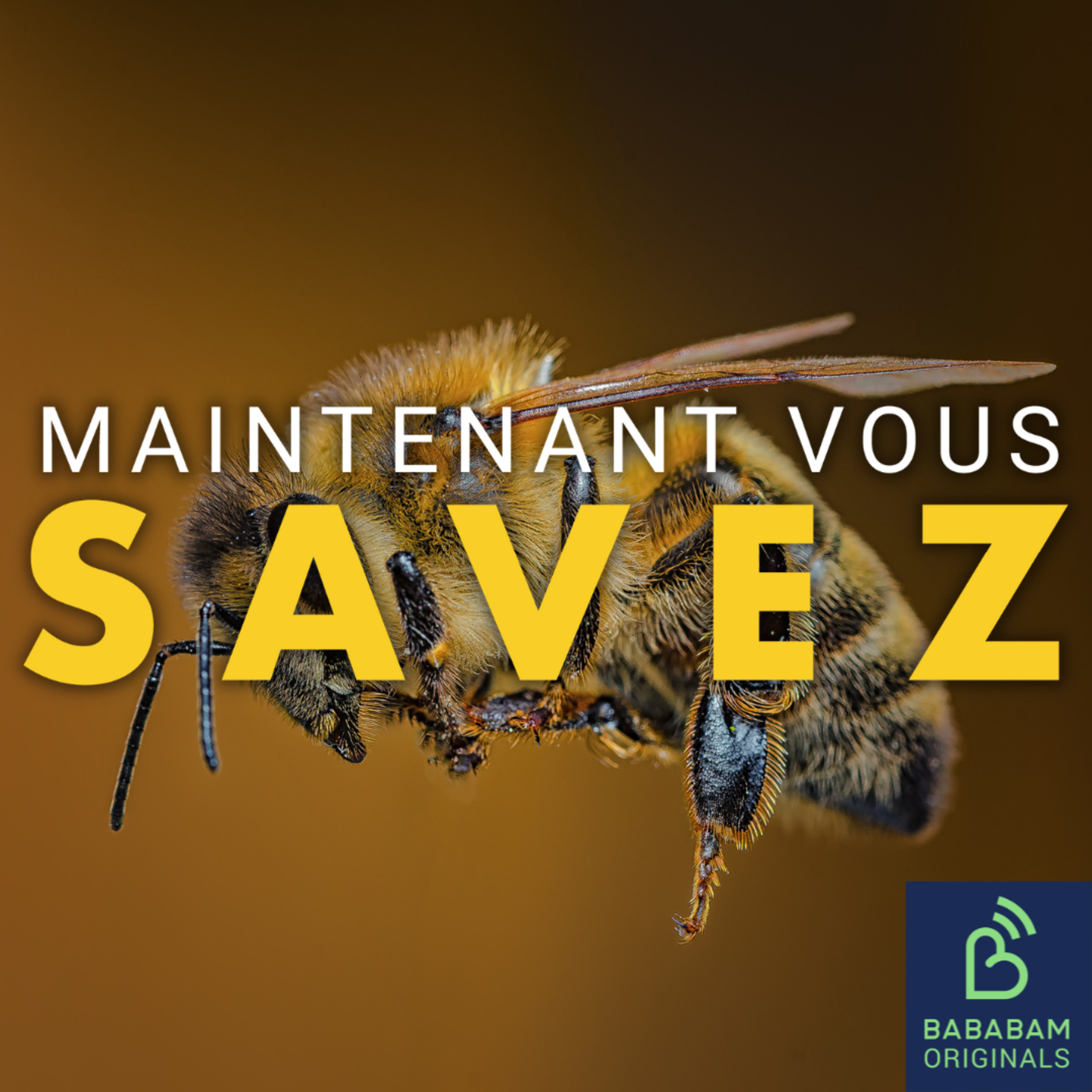 Peut-on vraiment soigner avec du venin d’abeilles ?