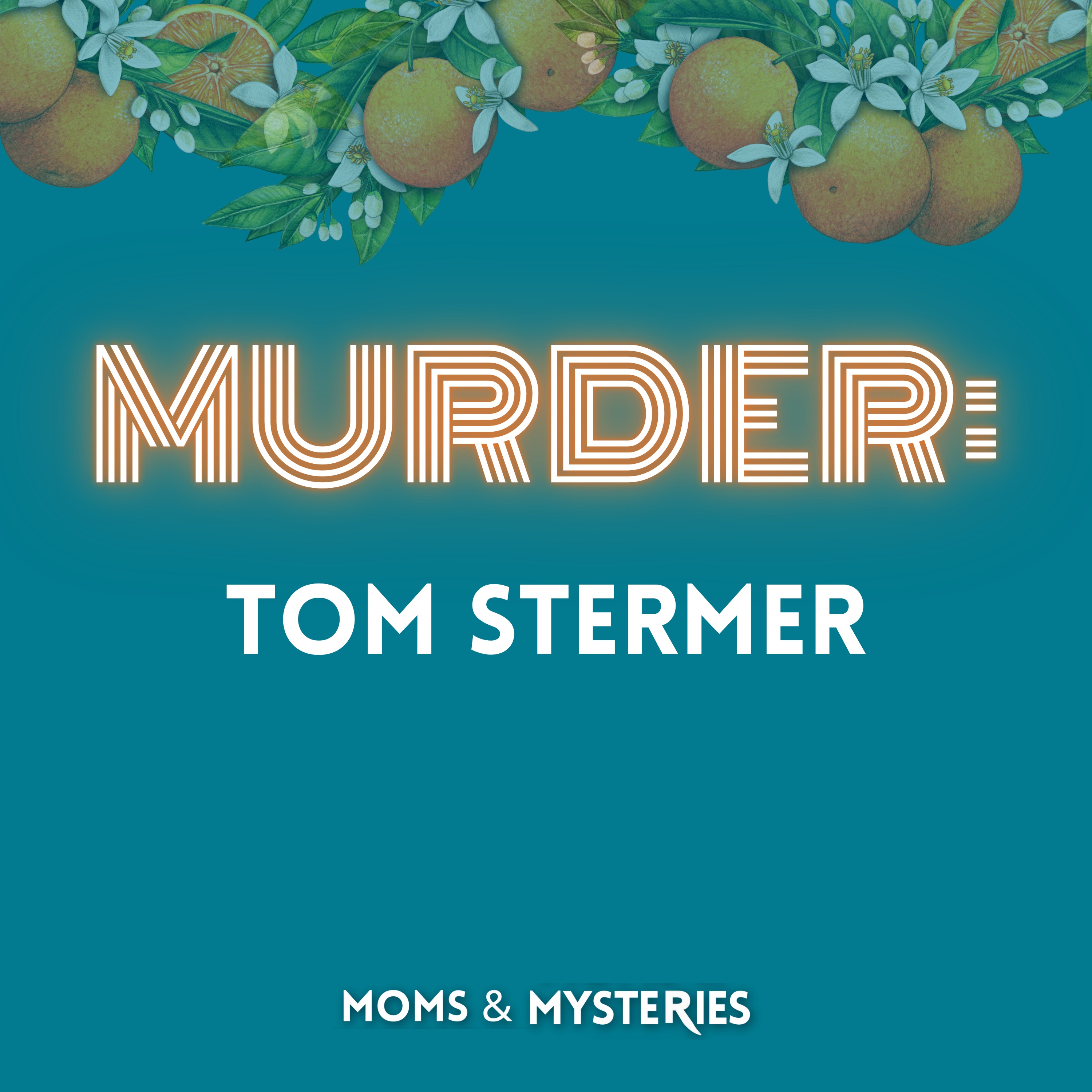 The Murder of Todd Stermer