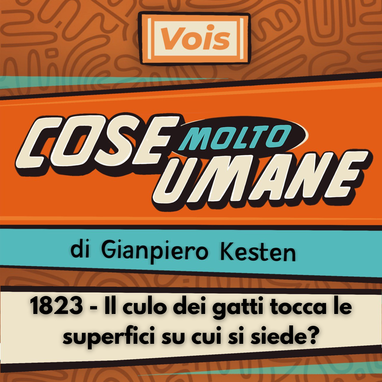 1823 - Il culo dei gatti tocca le superfici su cui si siede?