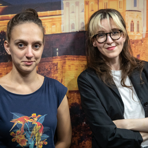 Miért elviselhetetlenül fájdalmas a tarantula sólyom csípése?