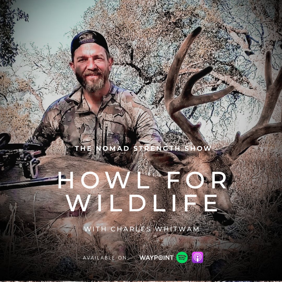 The Nomad Strength Show