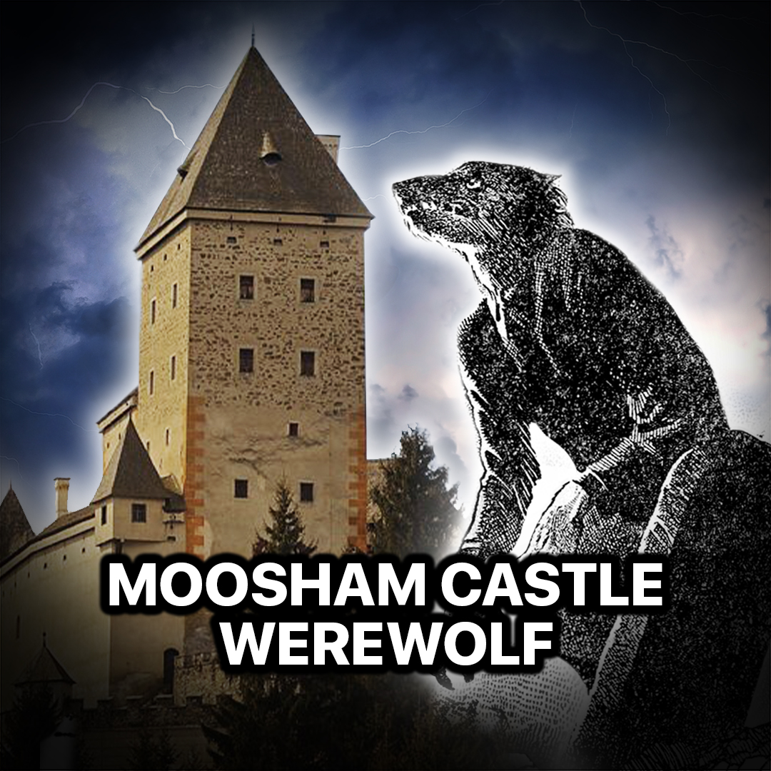 The Haunted Austrian Castle Where They Hunted Werewolves