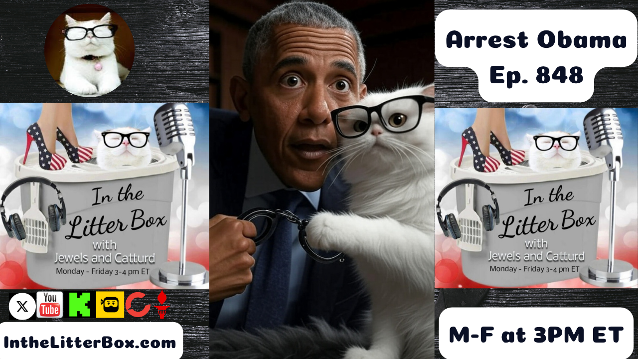 Arrest Obama | In the Litter Box w/ Jewels & Catturd – Ep. 848 – 7/24/2025