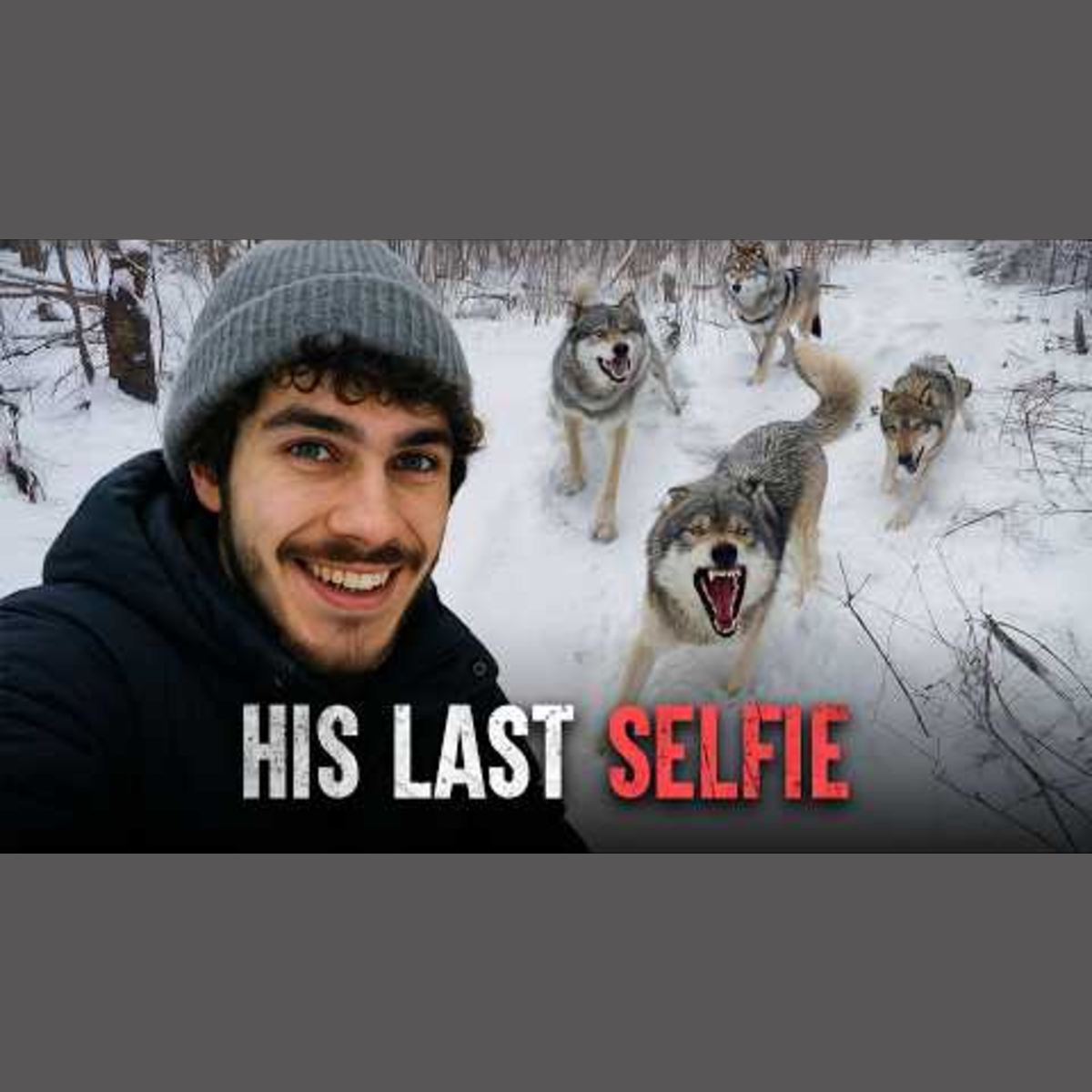 The Most Dangerous Wolf Encounters in History