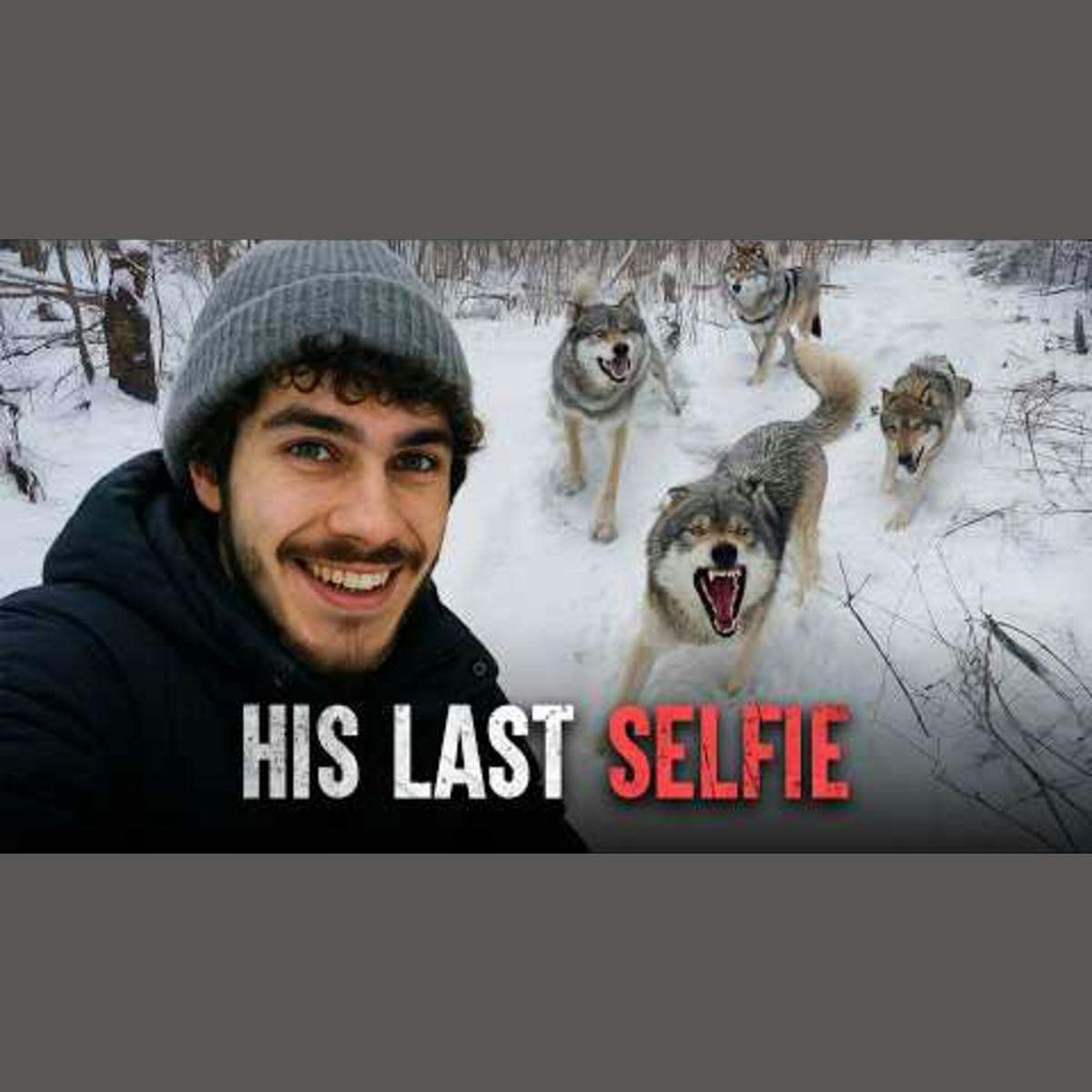 The Most Dangerous Wolf Encounters in History The Most Dangerous Wolf Encounters in History