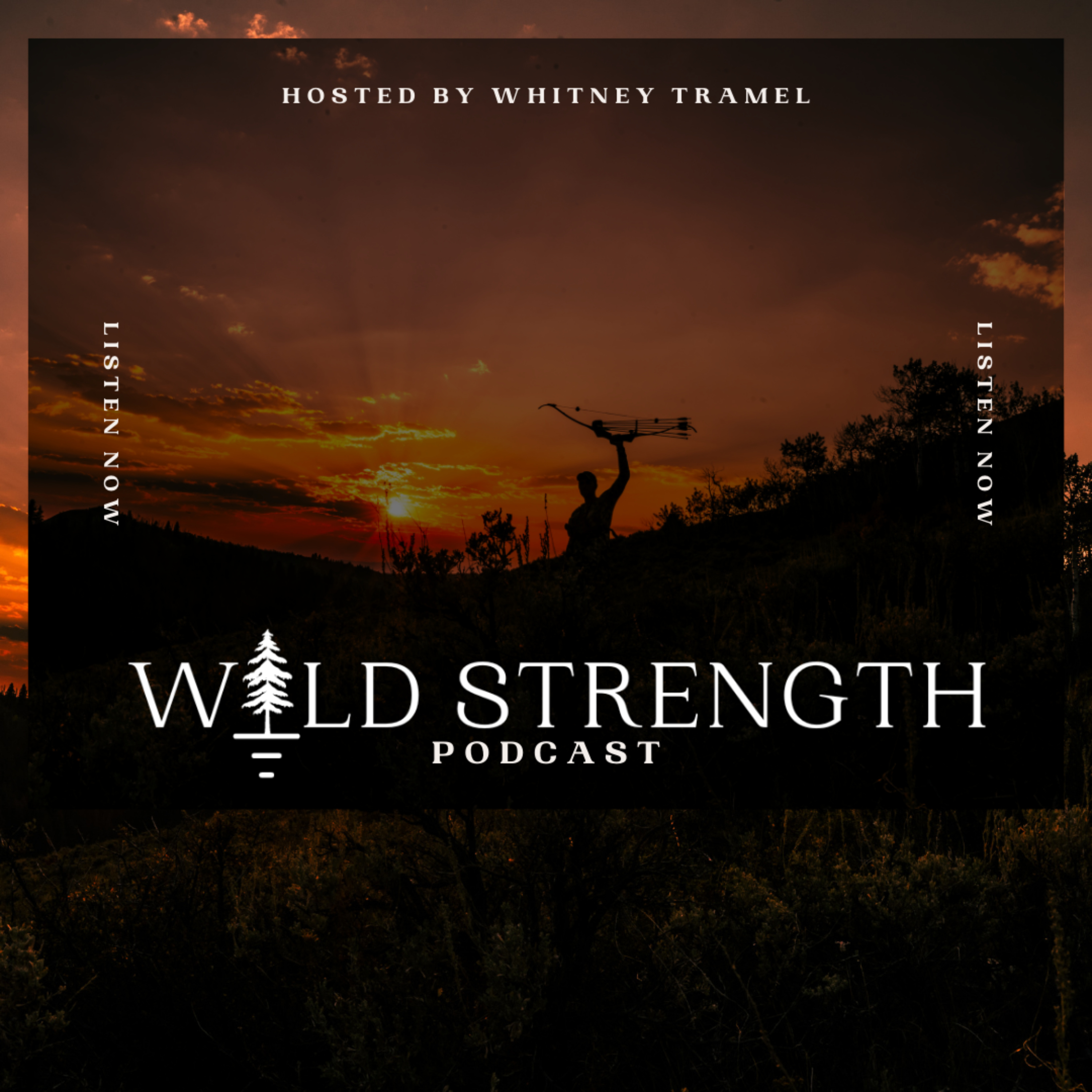 Wild Strength Podcast