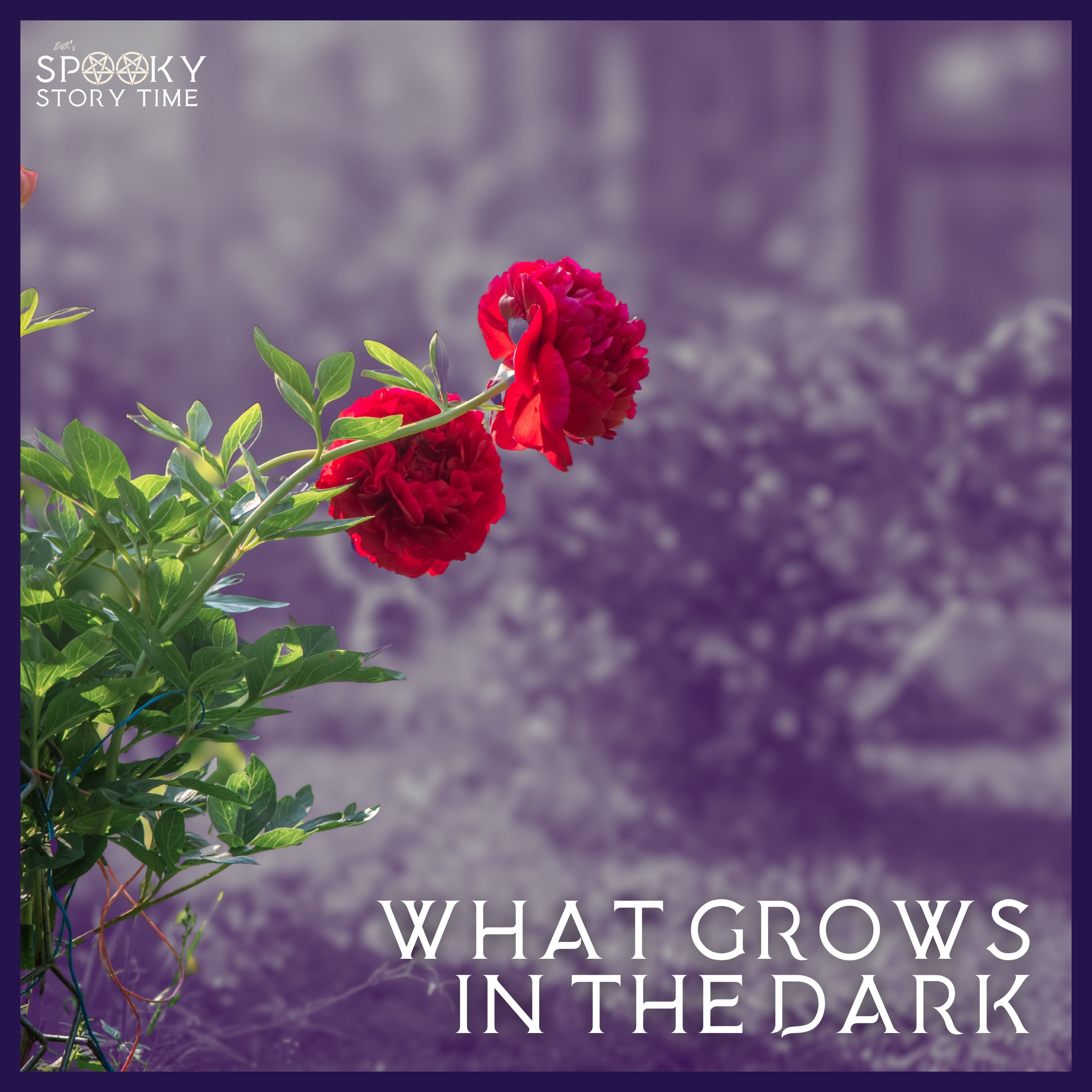 What Grows in the Dark: The Horror in my Garden episode artwork