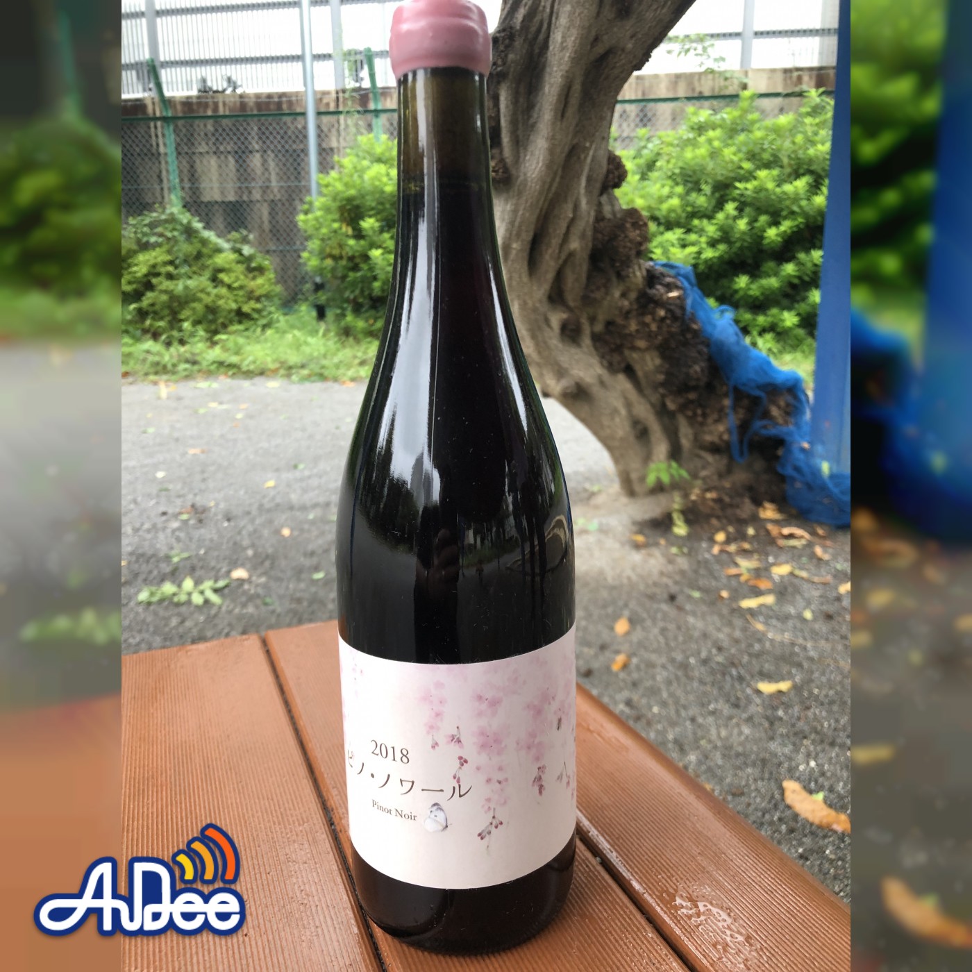 こことあるシリーズ2018 ピノ・ノワール