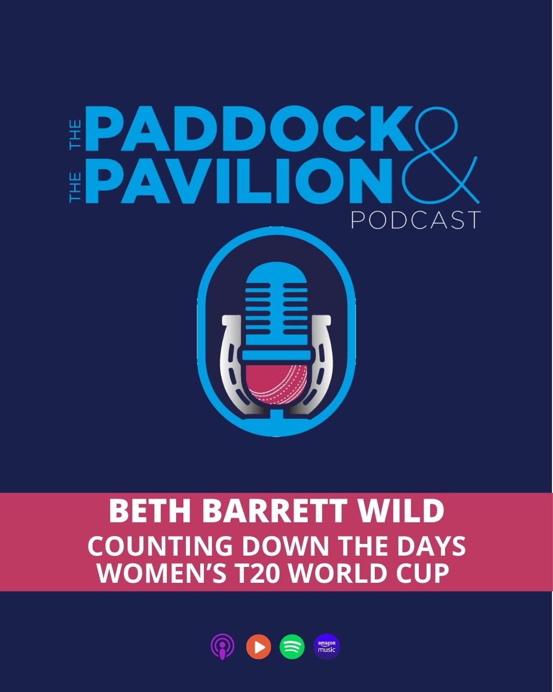 Ep 403  - Beth Barrett Wild - Counting down the Days