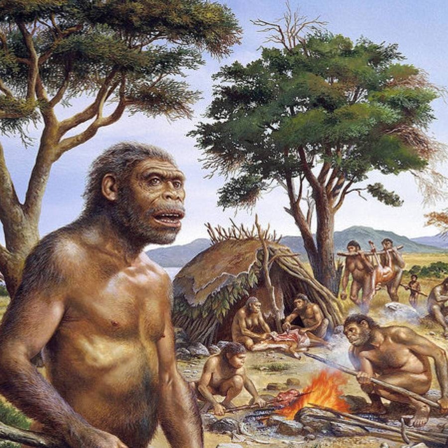 #754 - Dai primi ominidi ai Neanderthal: le vostre domande al dott. Berruti