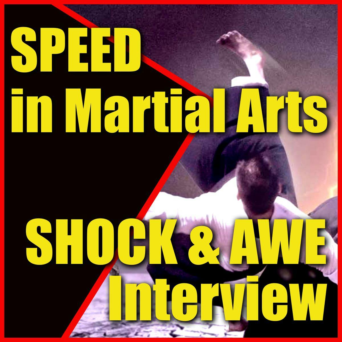 SPEED in Martial Arts SHOCK & AWE Symposium Interview Revealed