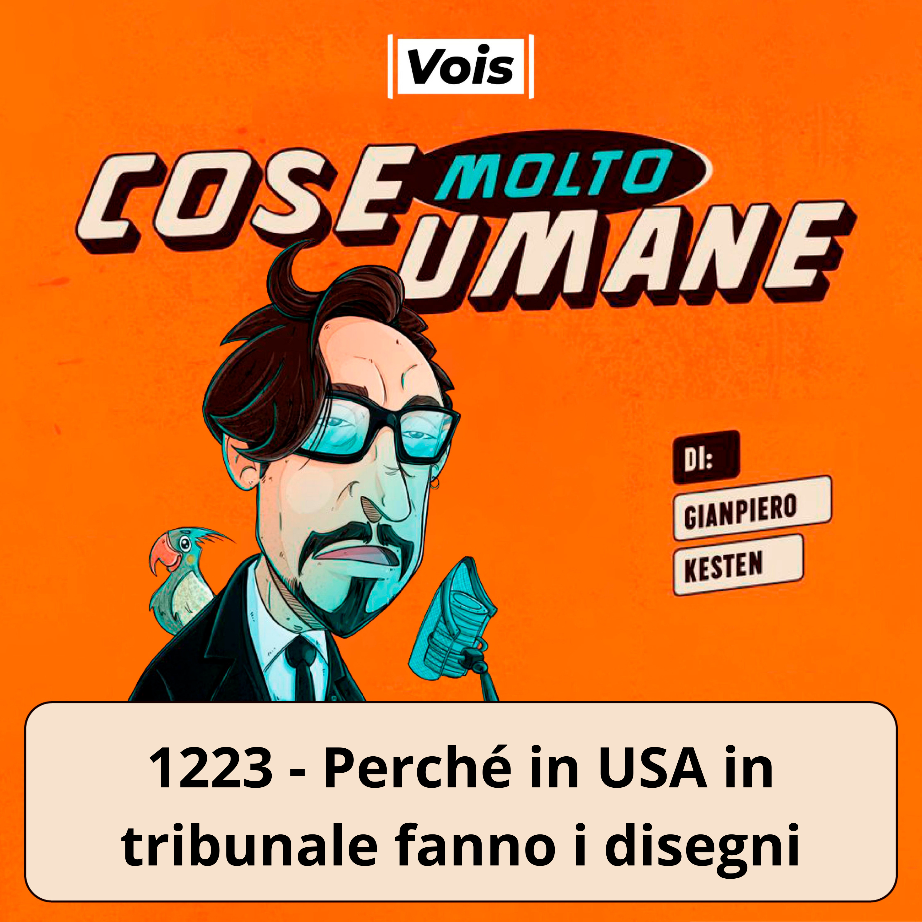 1223 - Perché in USA in tribunale fanno i disegni