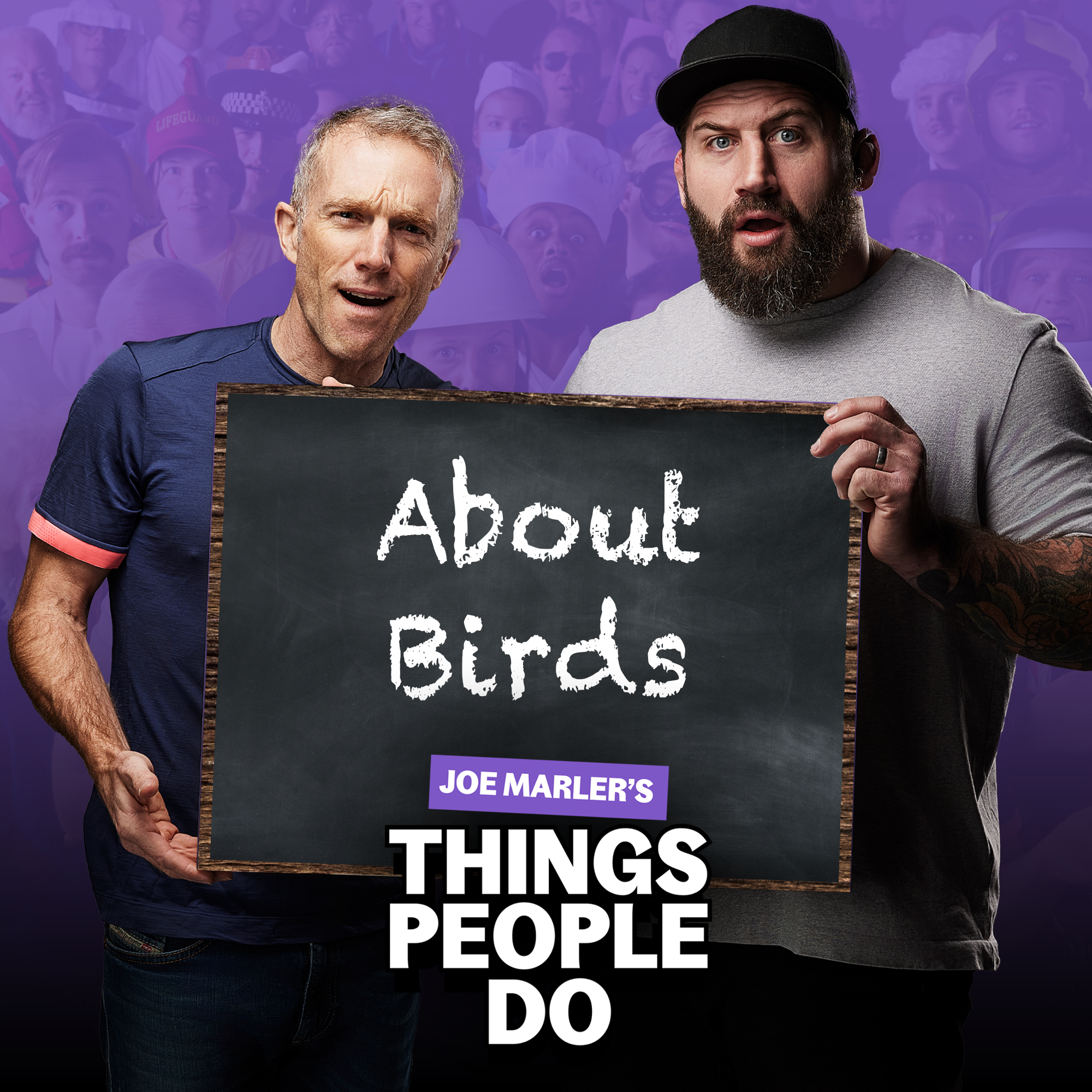 About Birds: Are geese horrible or misunderstood? episode artwork