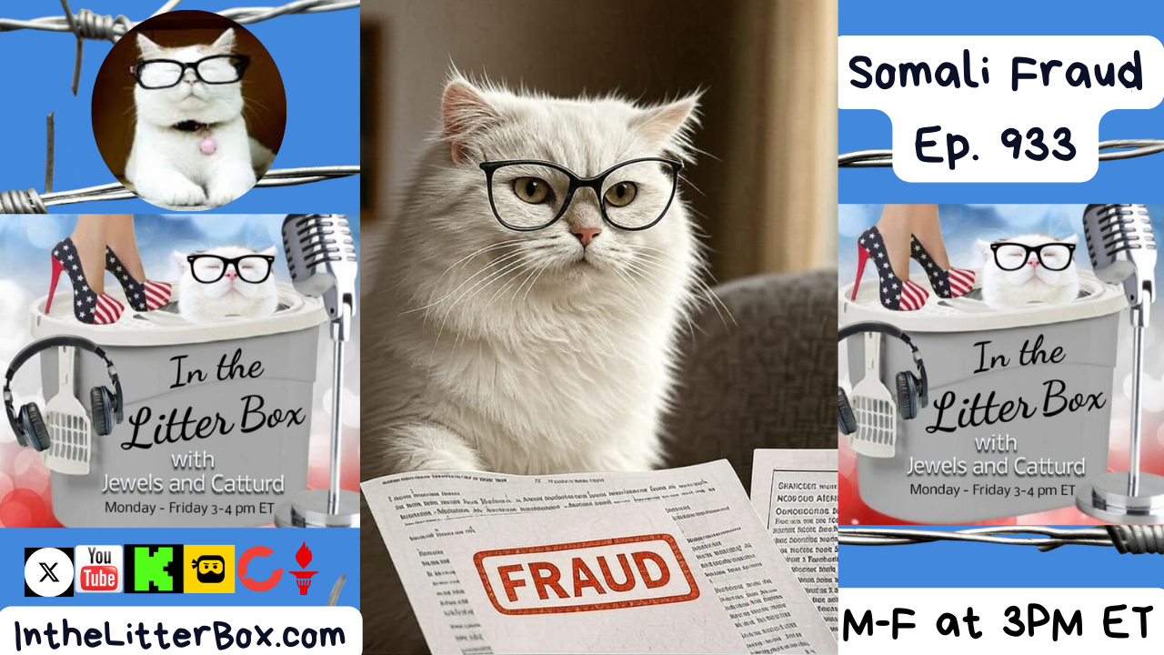 Somali Fraud | In the Litter Box w/ Jewels & Catturd – Ep. 933 – 12/8/2025