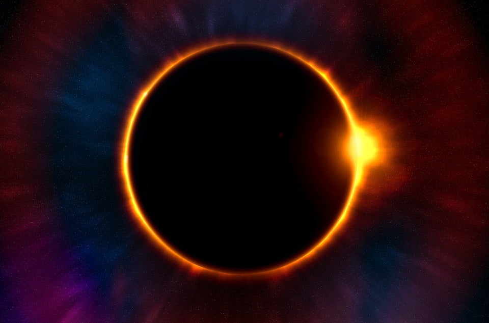 Cómo afecta un eclipse a los animales