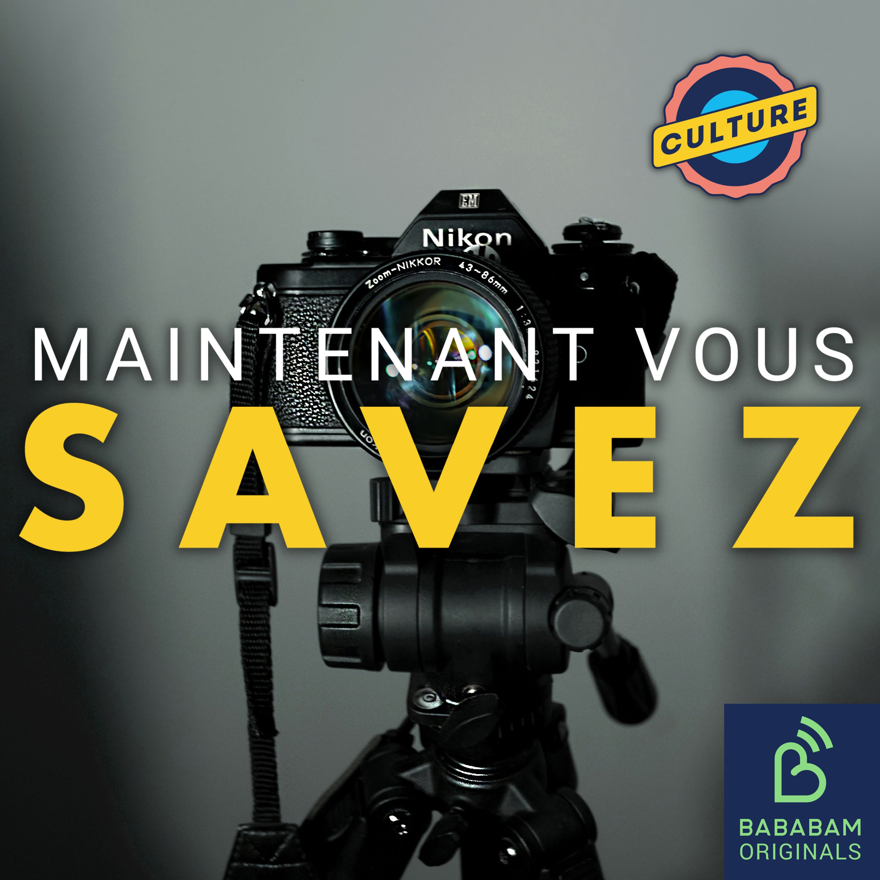 Que voit-on sur la toute première photo de l’Histoire ?