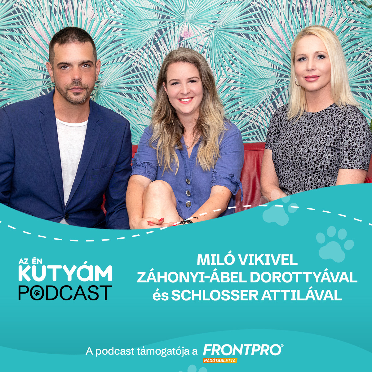 Nem csupán a küllem számít! – Mire jók a kutyakiállítások?