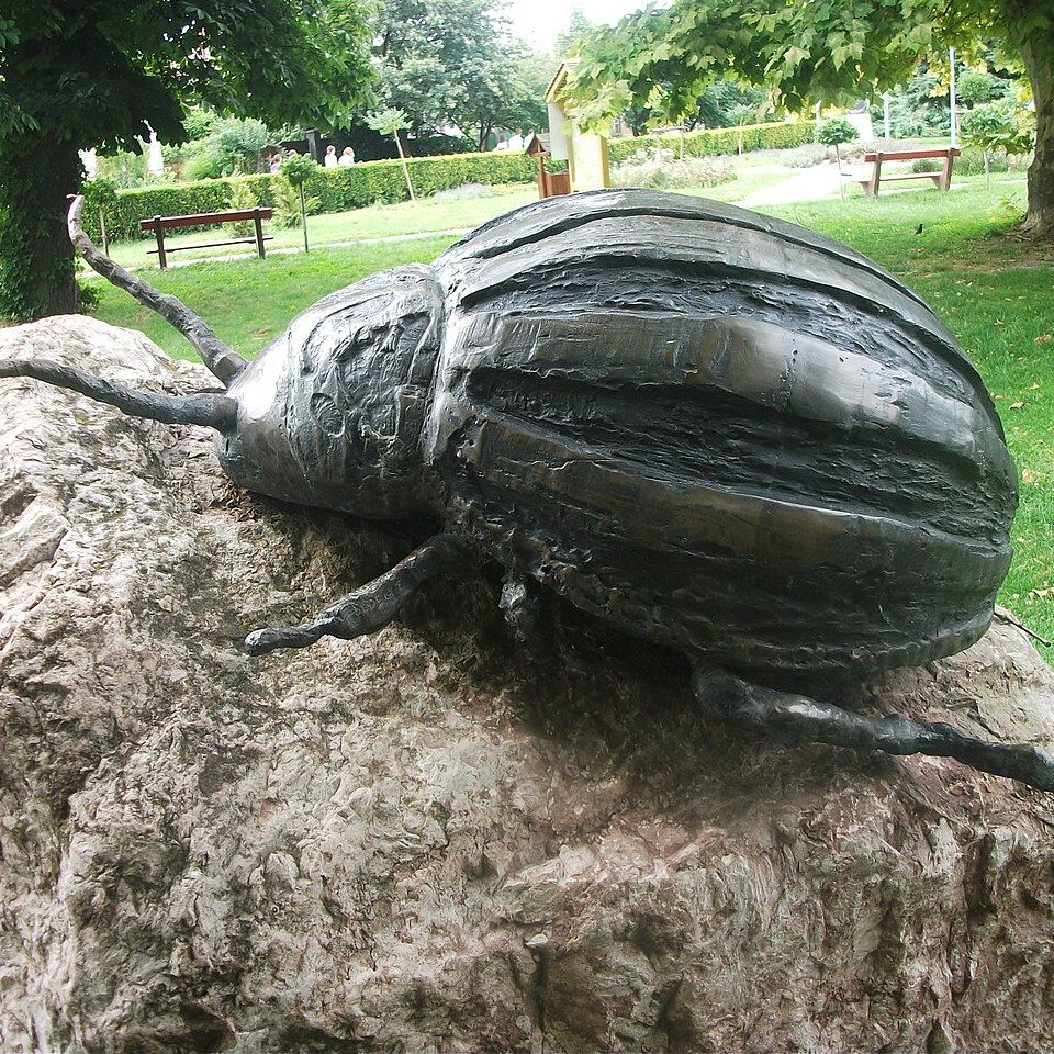 125. rész: Titkos történetek Magyarországról