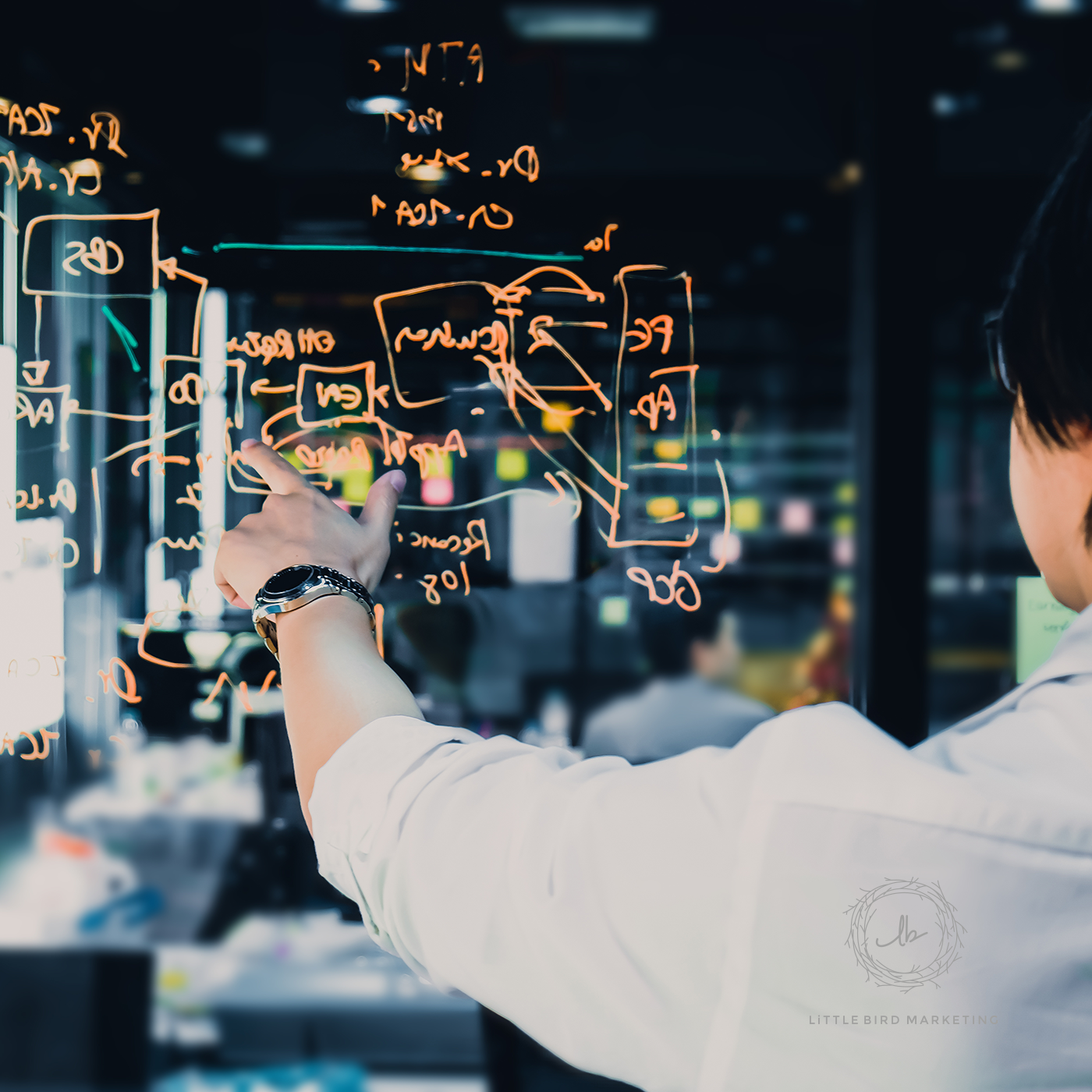 Ponderings from the Perch