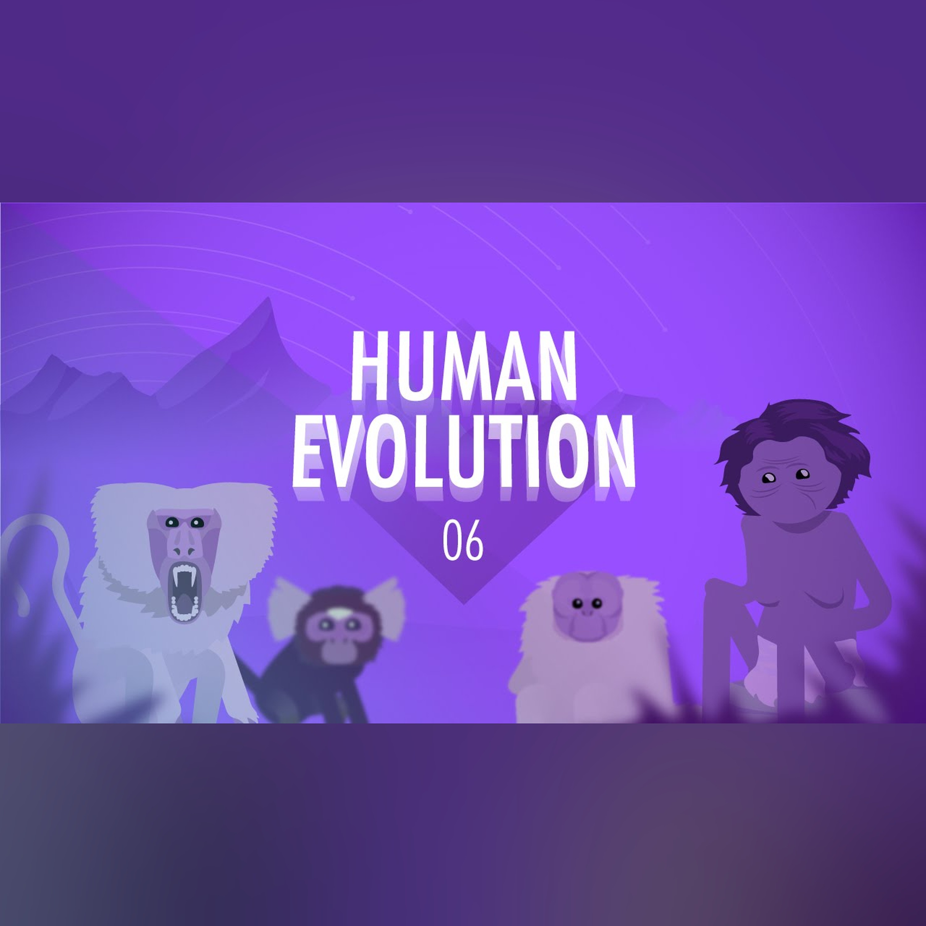 Human Evolution: Crash Course Big History #6
