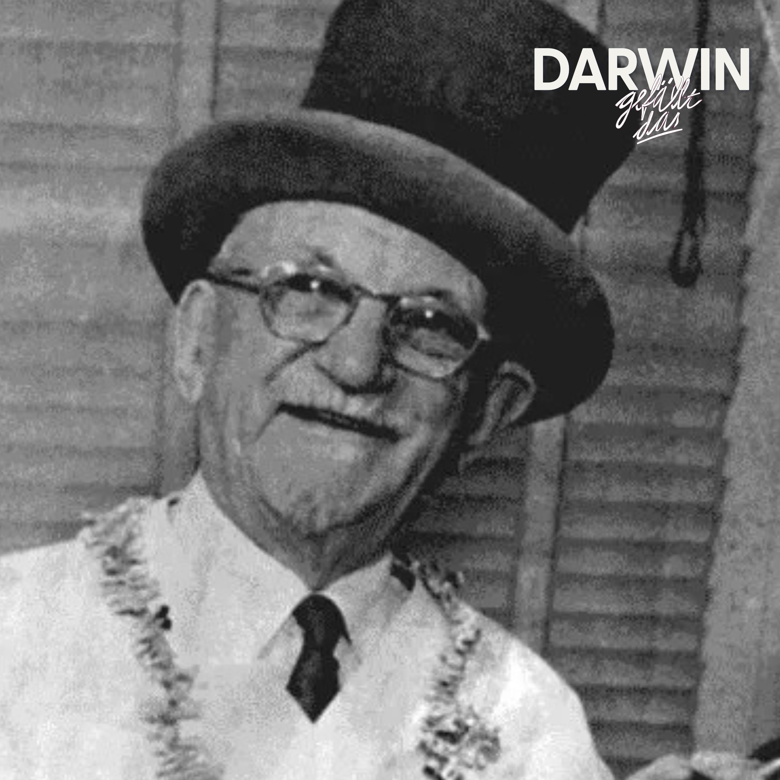 Kurz und schmerzhaft