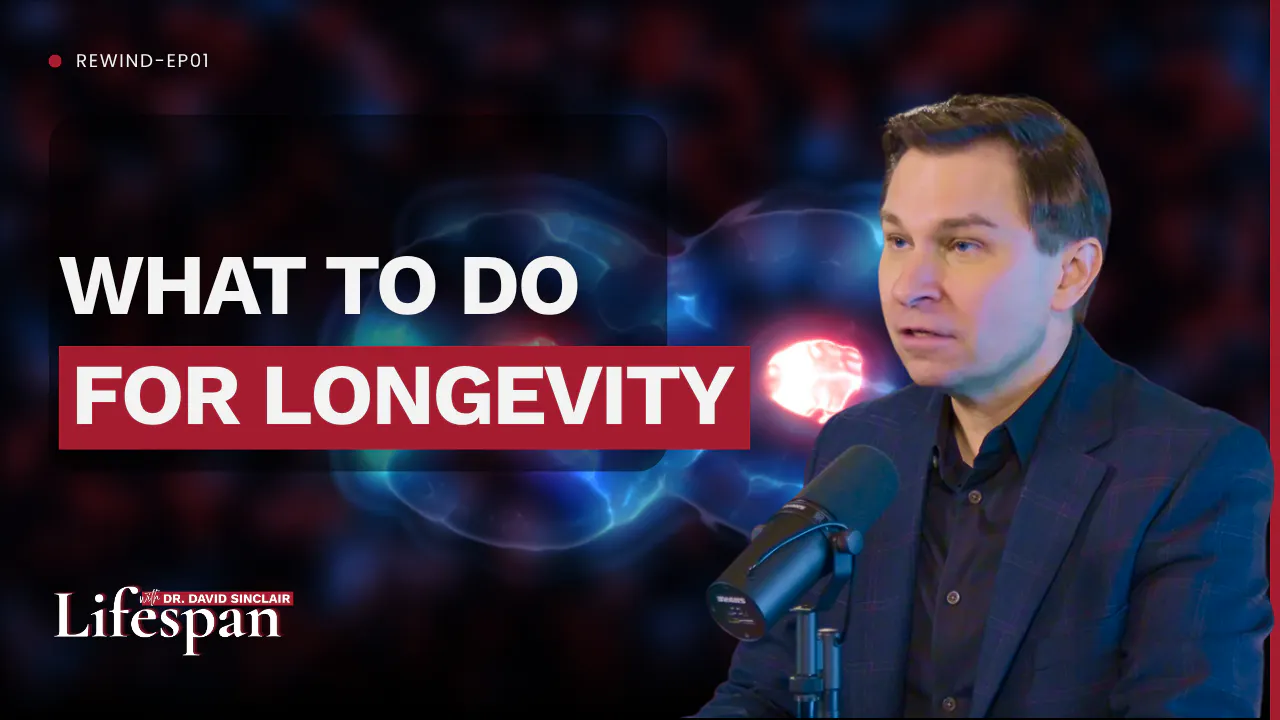 What To Do For Longevity | Lifespan with Dr. David Sinclair Rewind Episode cover