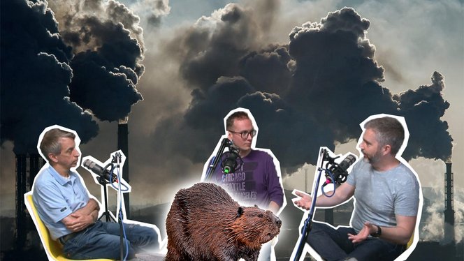 Felniktől a medencébe vizelésig episode artwork
