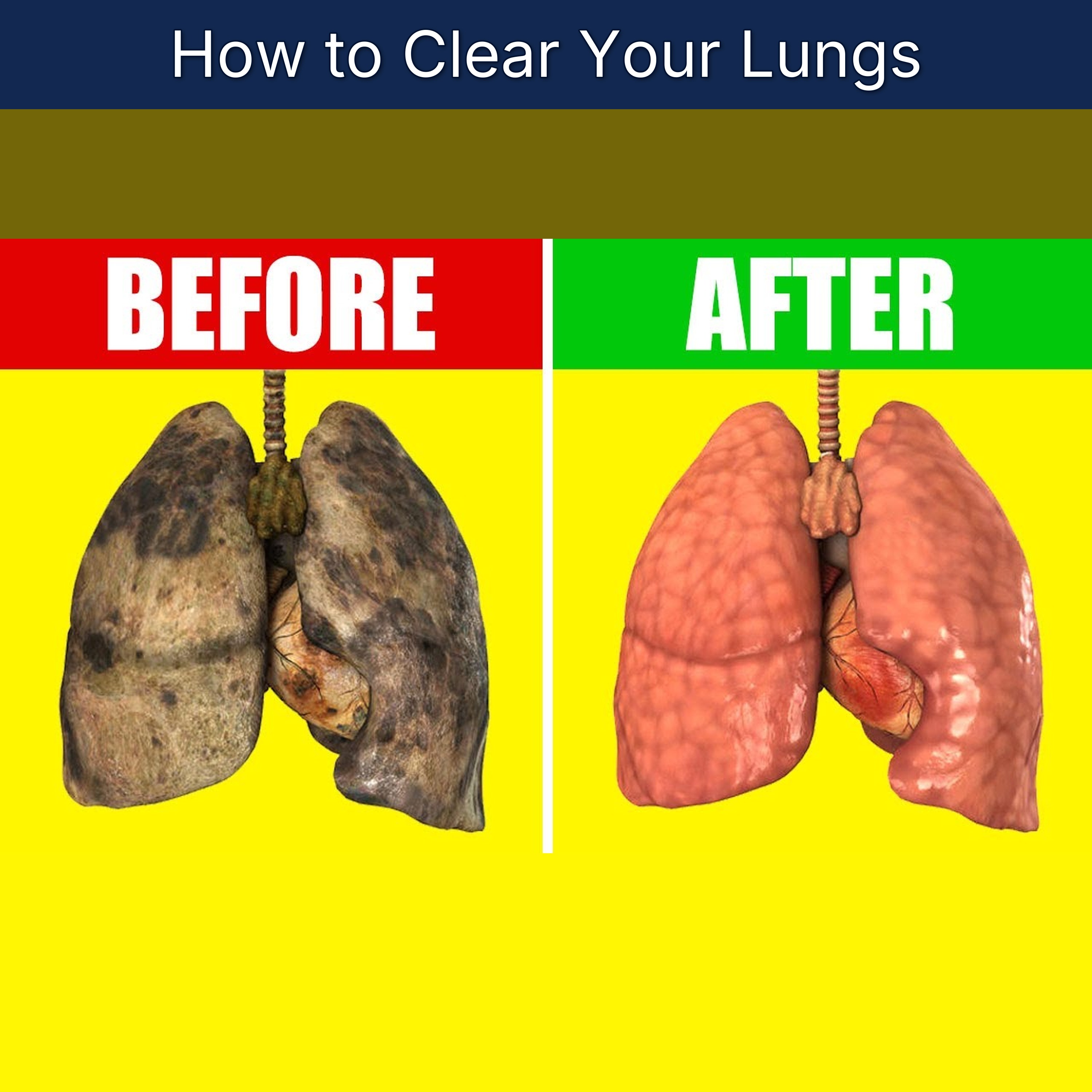 How to Clear Your Lungs