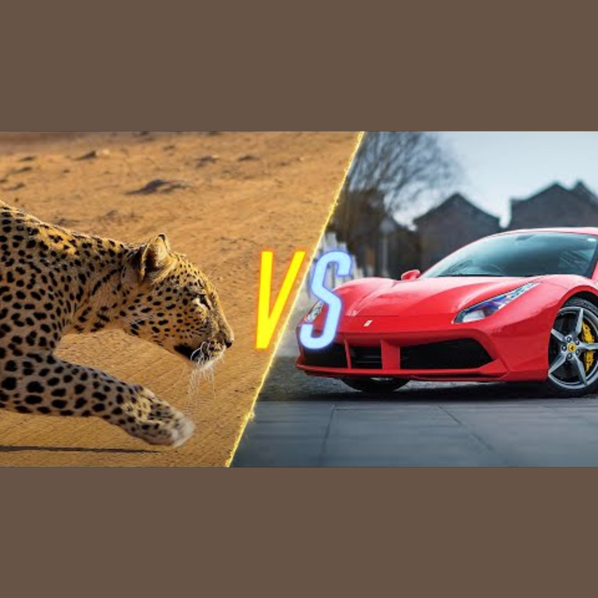 Cheetah vs. Ferrari Showdown episode artwork