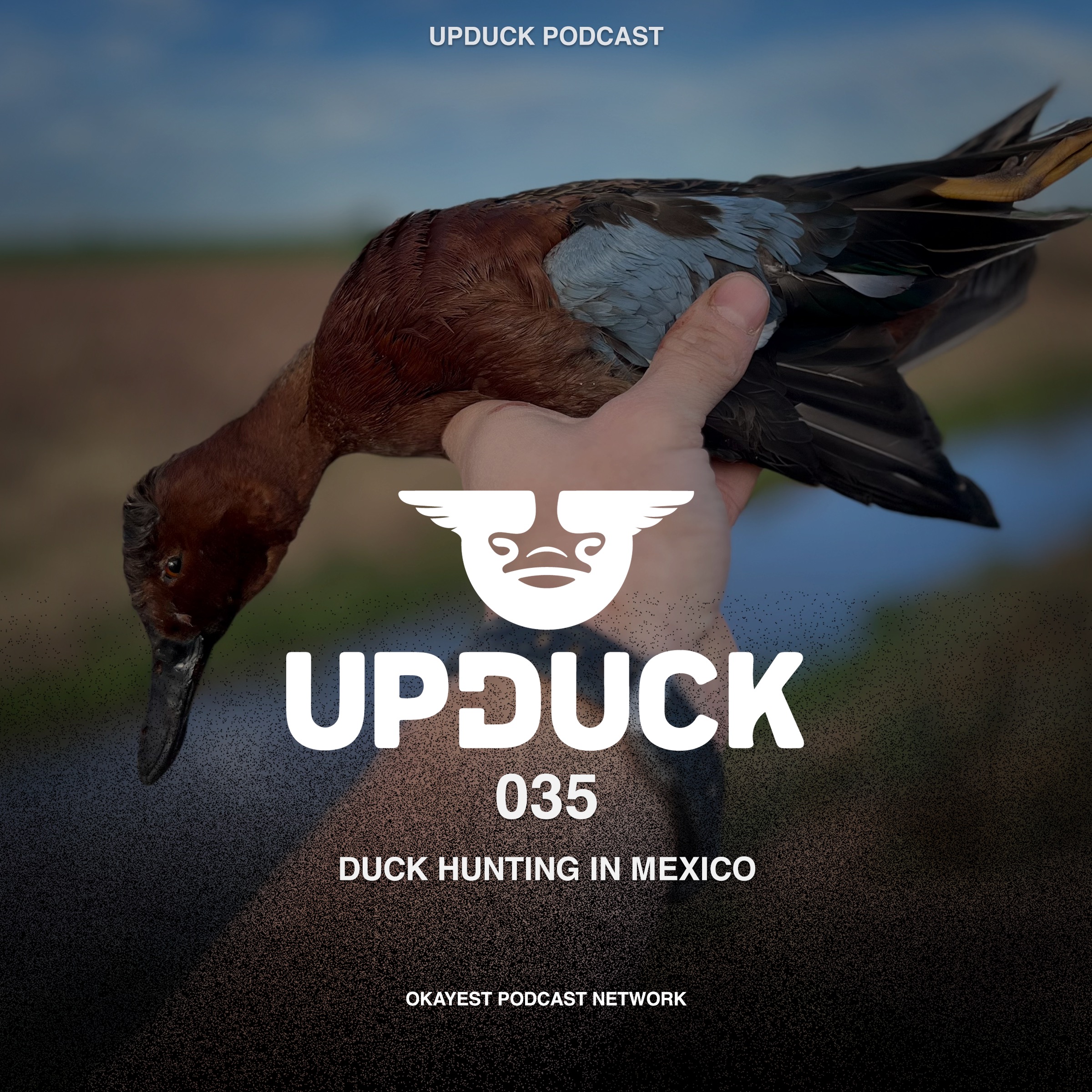 Duck Hunting in Mexico episode artwork