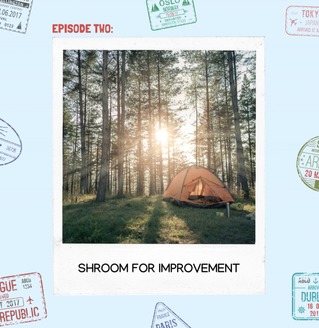 Welcome to Paradise (It Sucks)