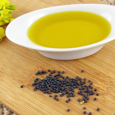 TRANSCRIPT Seed Oil Scare: The Curious Case of Canola - Gastropod