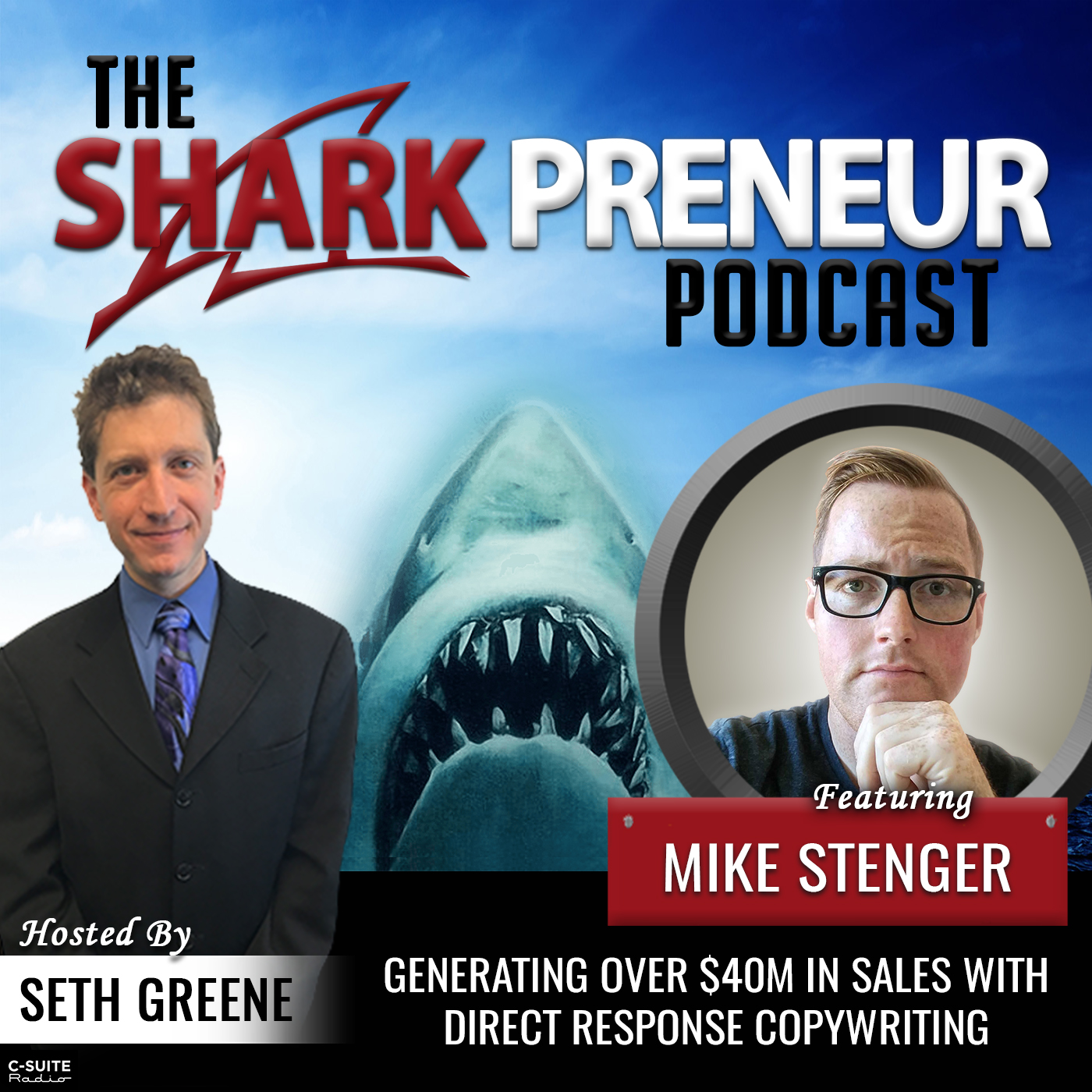 906: Generating over $40M in Sales with Direct Response Copywriting with Mike Stenger