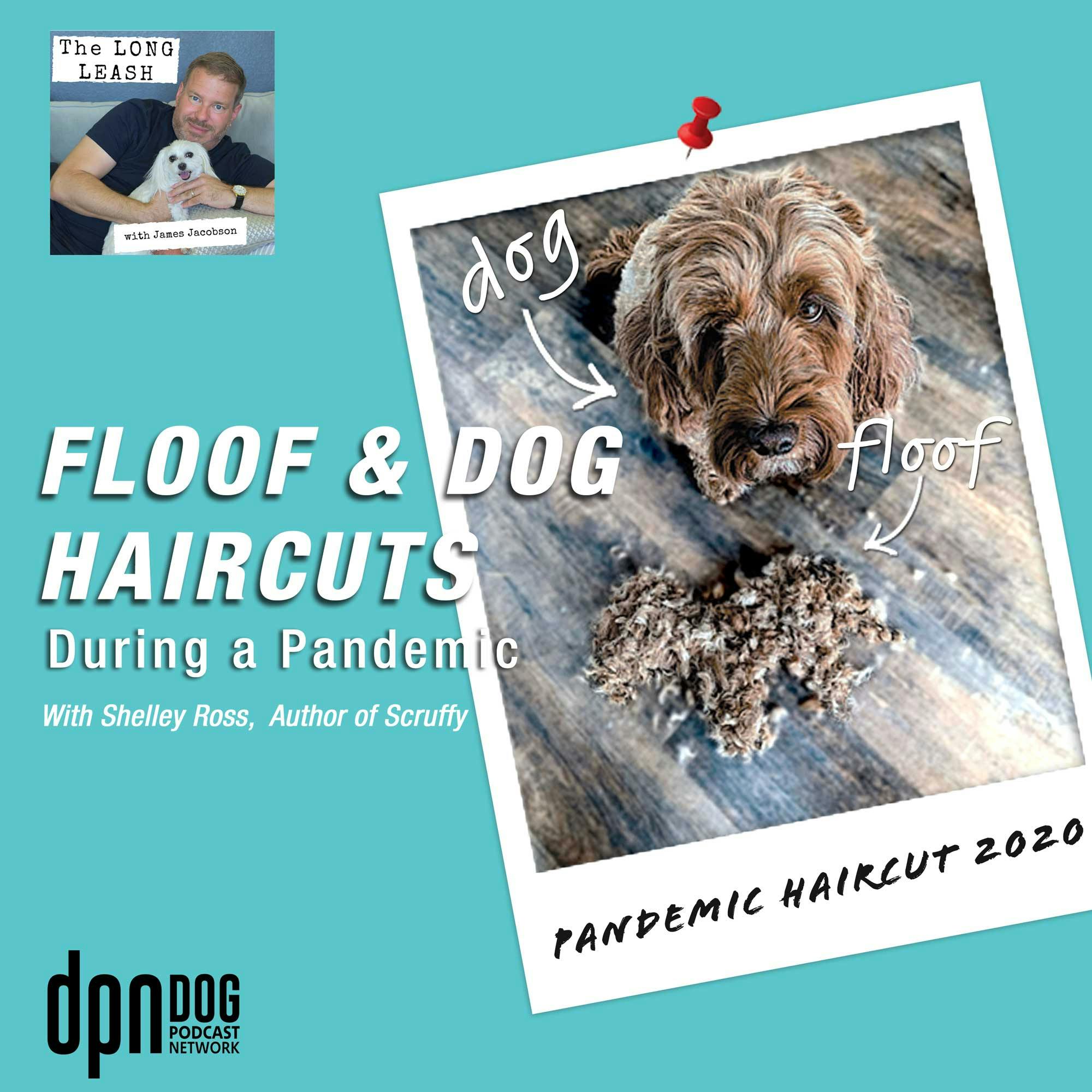 Floof & Dog Haircuts During a Pandemic | The Long Leash | The Long Leash  with James Jacobson