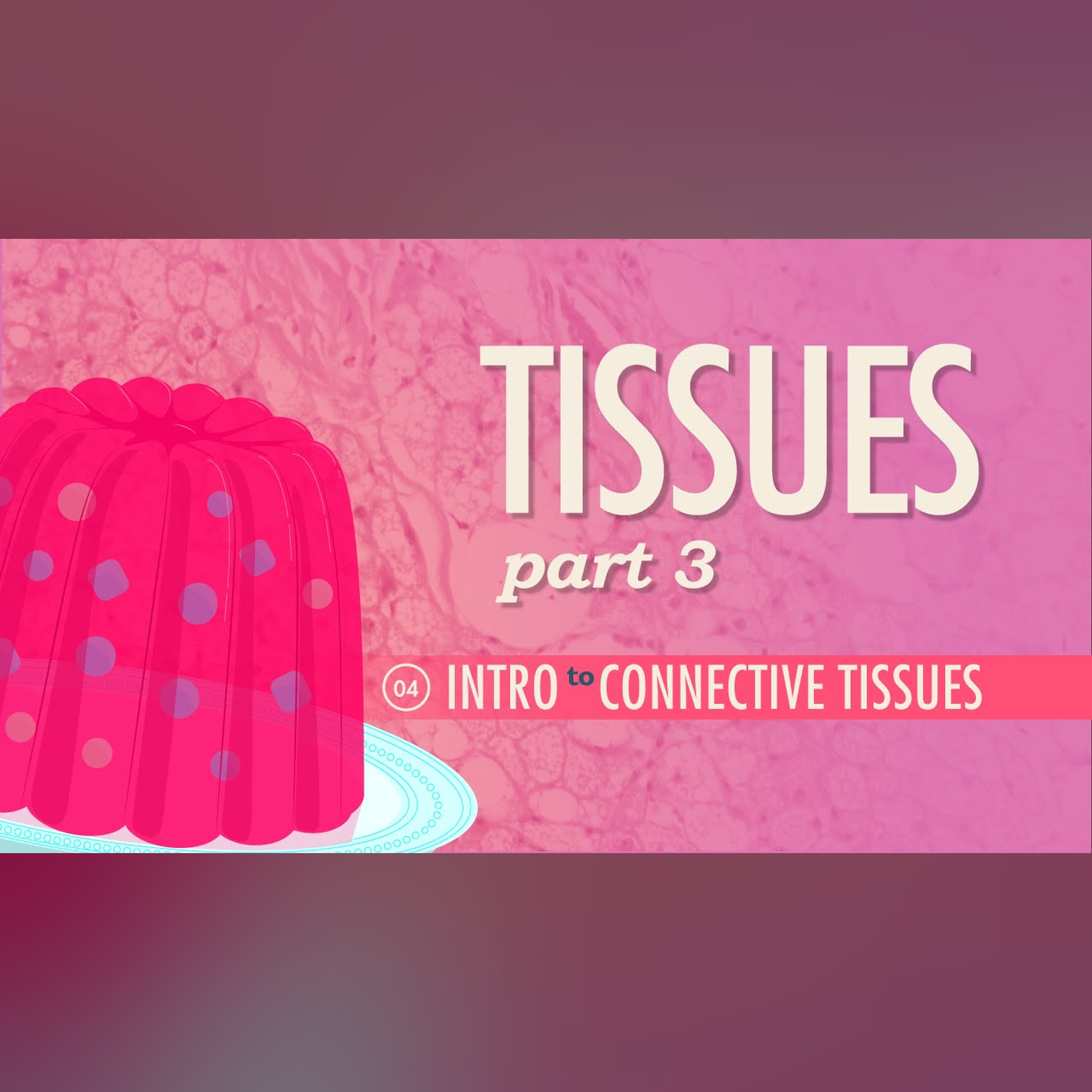 Tissues, Part 3 - Connective Tissues: Crash Course Anatomy and Physiology #4