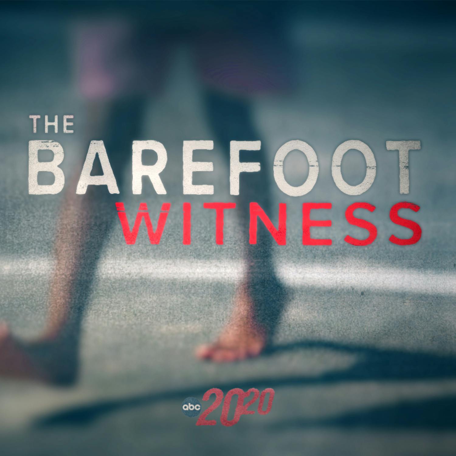 The Barefoot Witness