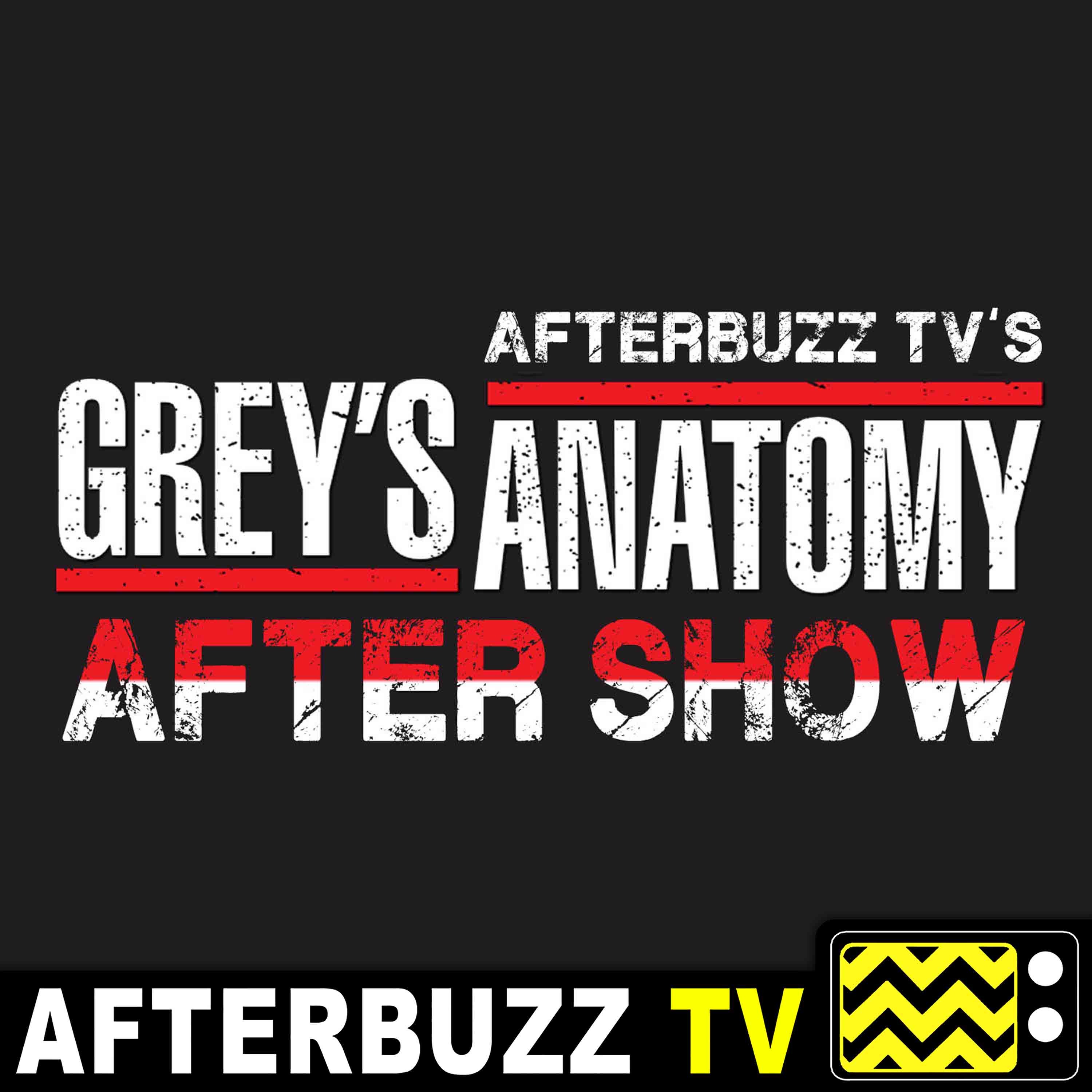 Grey’s Anatomy S:9 | Going Going Gone E:1 | AfterBuzz TV AfterShow episode artwork