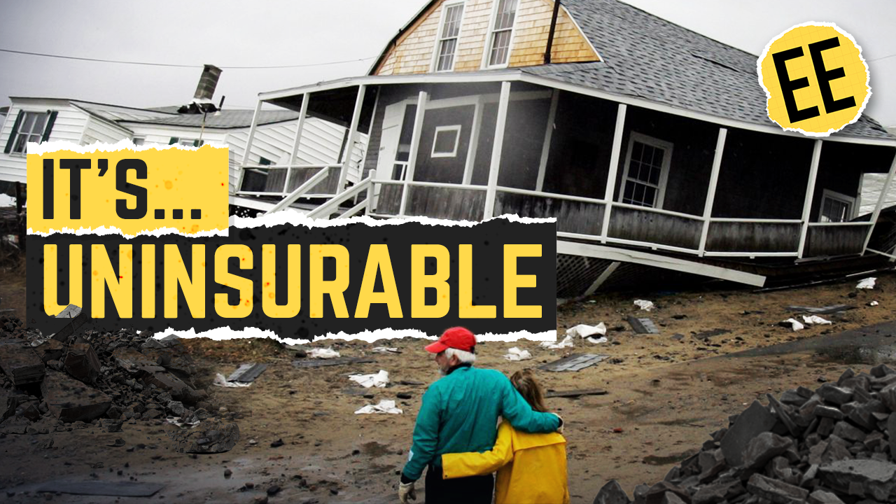 Has the World Become Uninsurable?