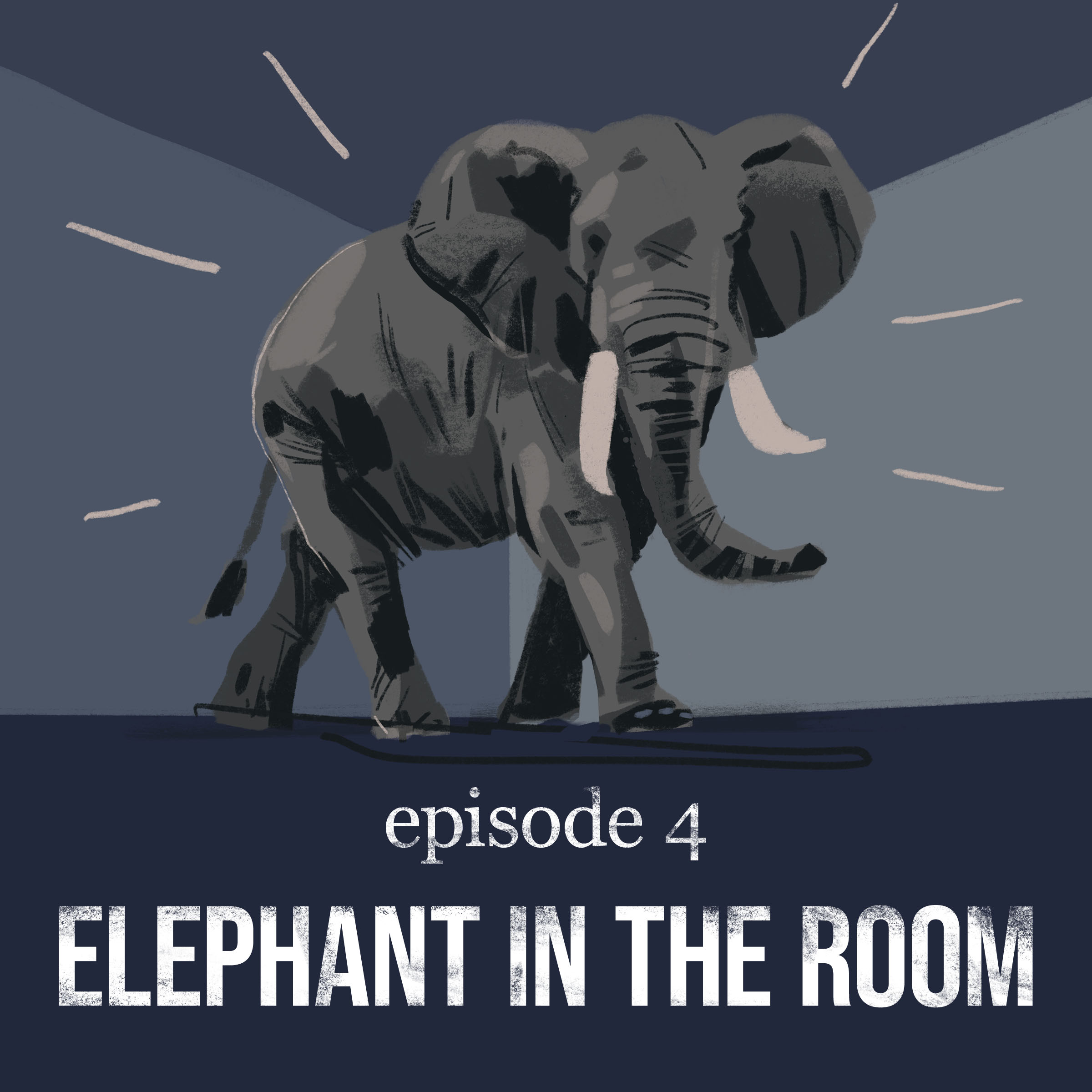 Elephant in the Room | 4