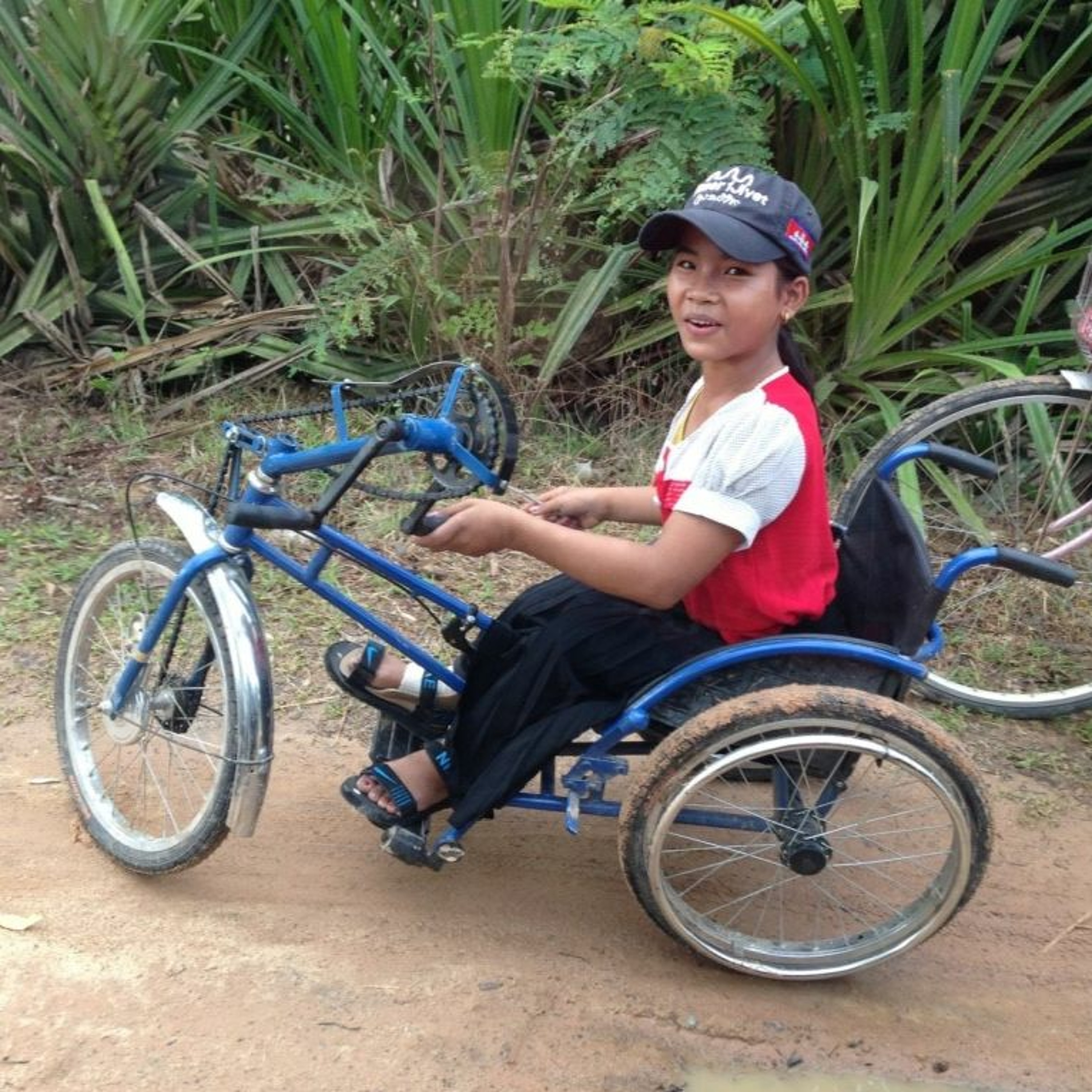 Disability-inclusive Disaster Risk Reduction (DRR) in the Asia-Pacific - Dr Emma Calgaro episode artwork