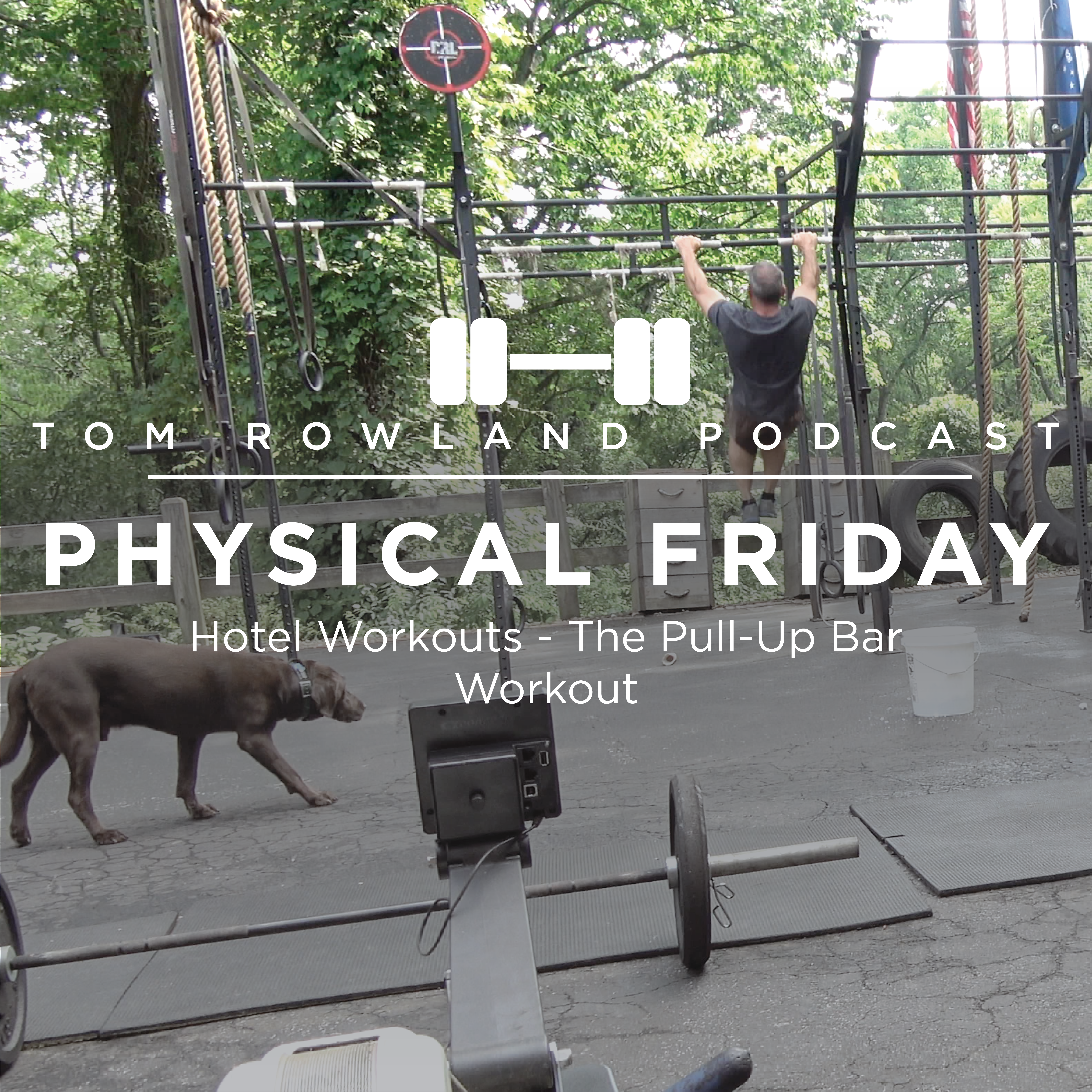 PHYSICAL FRIDAY #3 - Hotel Workouts - The Pull-Up Bar Workout