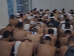 Violência no Clássico-Rei: cerca de 350 pessoas são detidas após brigas entre torcidas organizadas