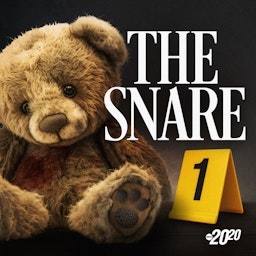 The Snare